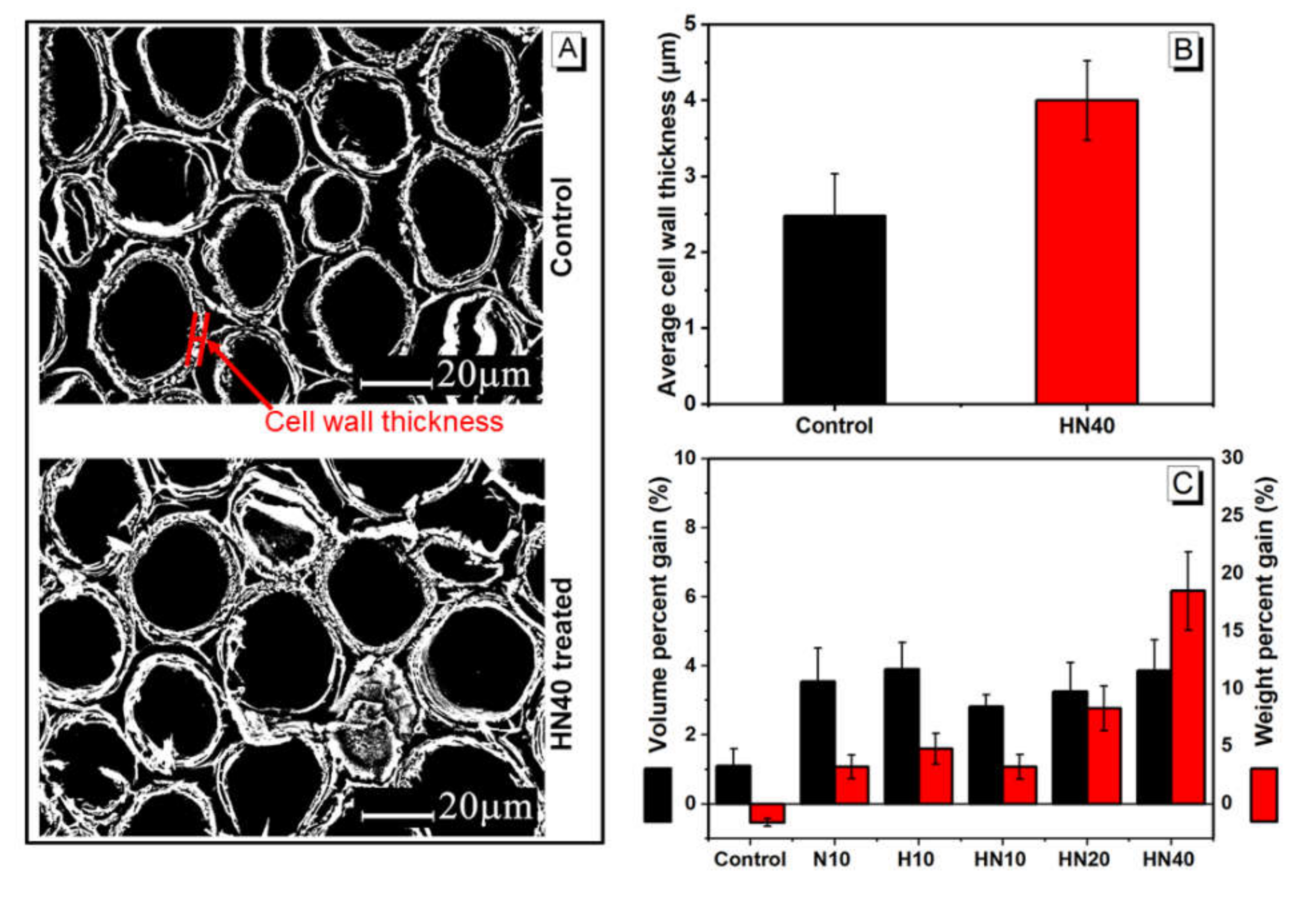 Polymers 12 01584 g007