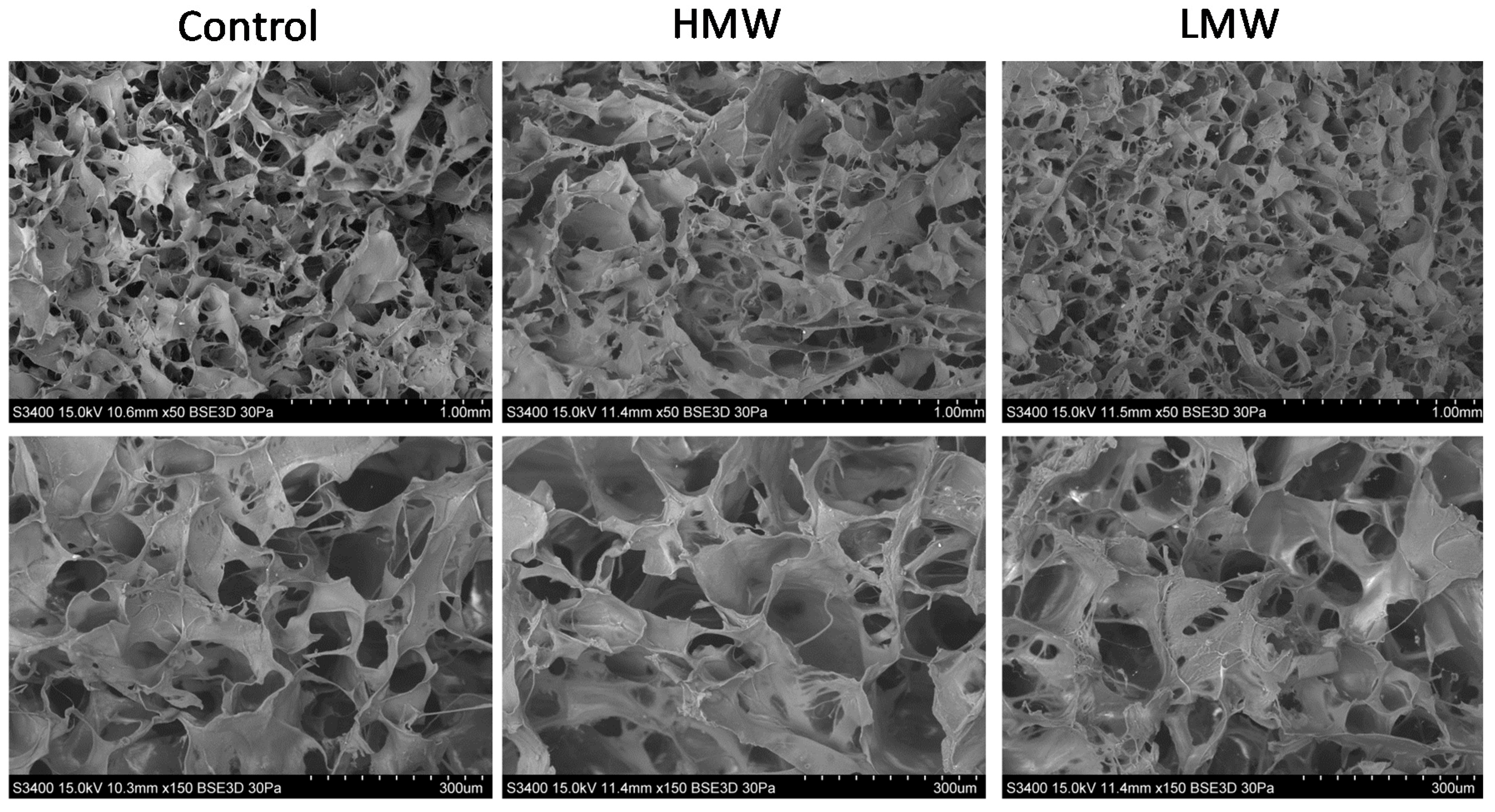 Polymers 12 01597 g005