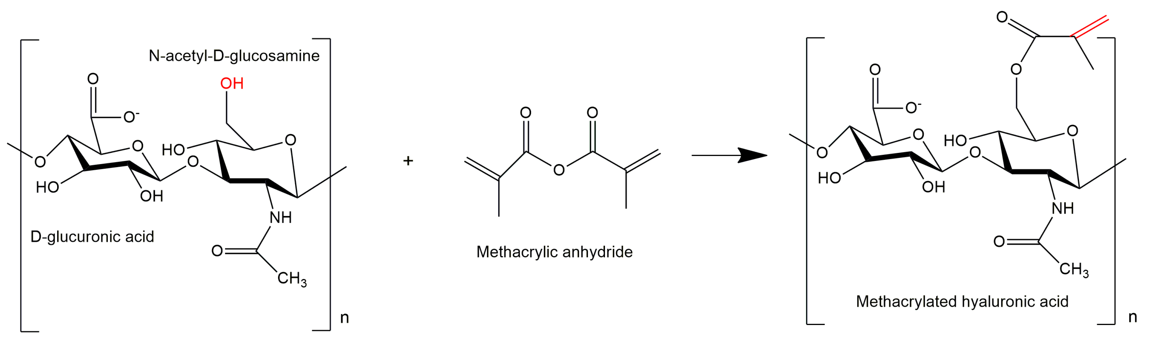 Polymers Free FullText Biomimetic CellLaden MeHA Hydrogels for
