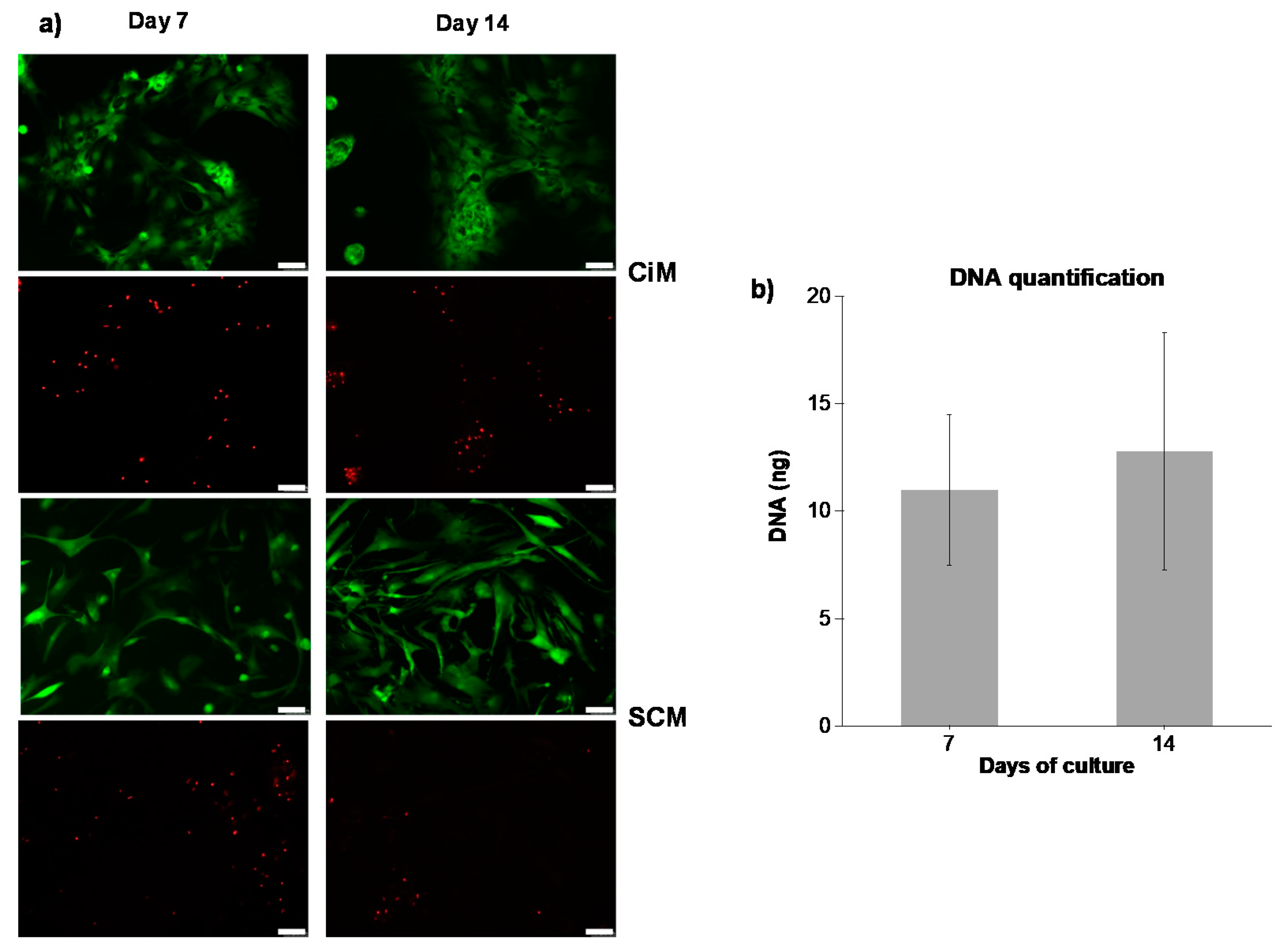 Polymers 12 01598 g005