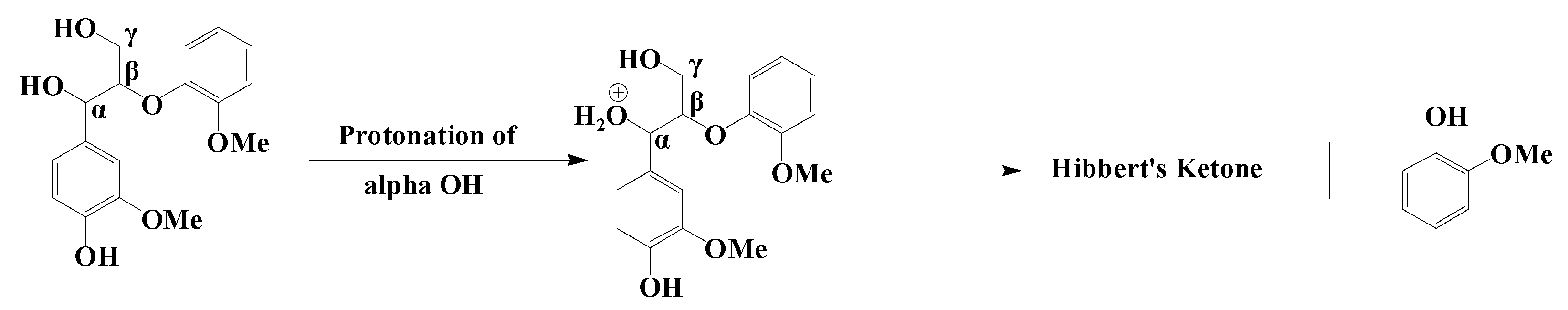 Polymers 12 01599 g005