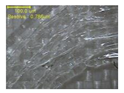 Polymers 12 01600 i002 Polymers 12 01600 i002