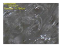 Polymers 12 01600 i016 Polymers 12 01600 i016