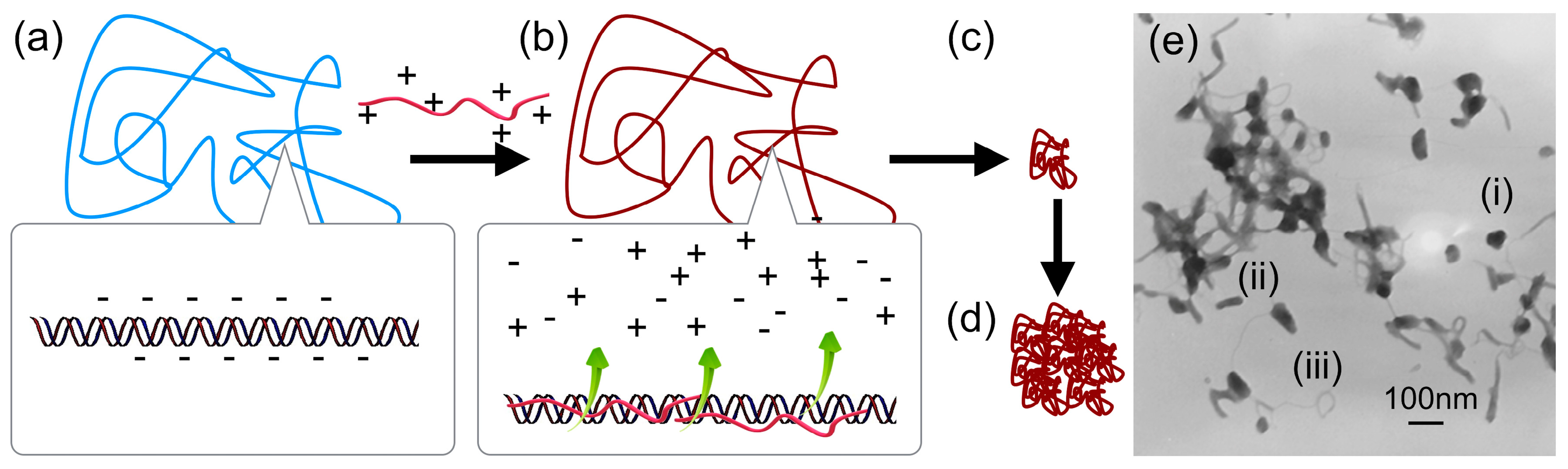 Polymers 12 01603 g001