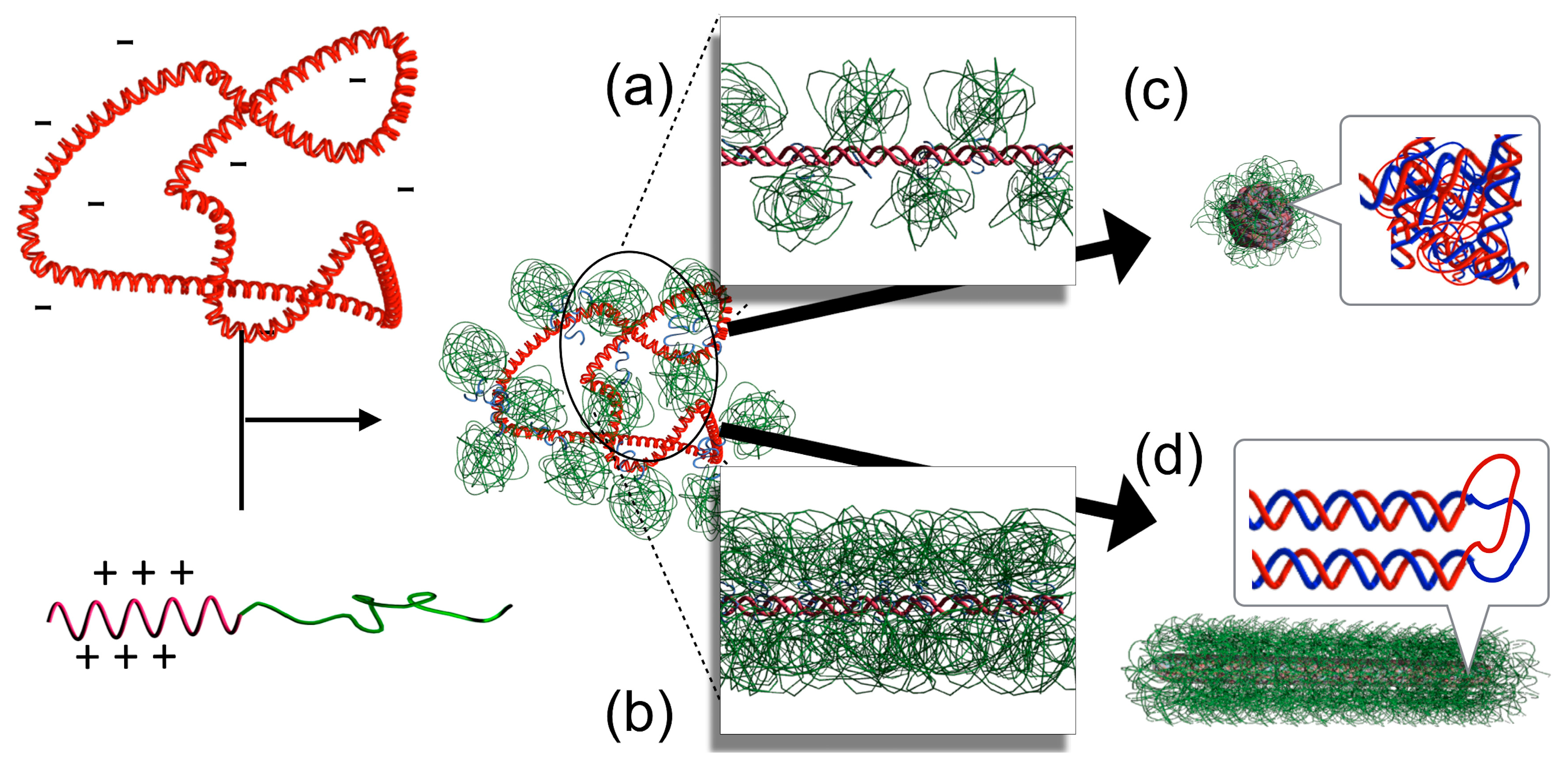 Polymers 12 01603 g004