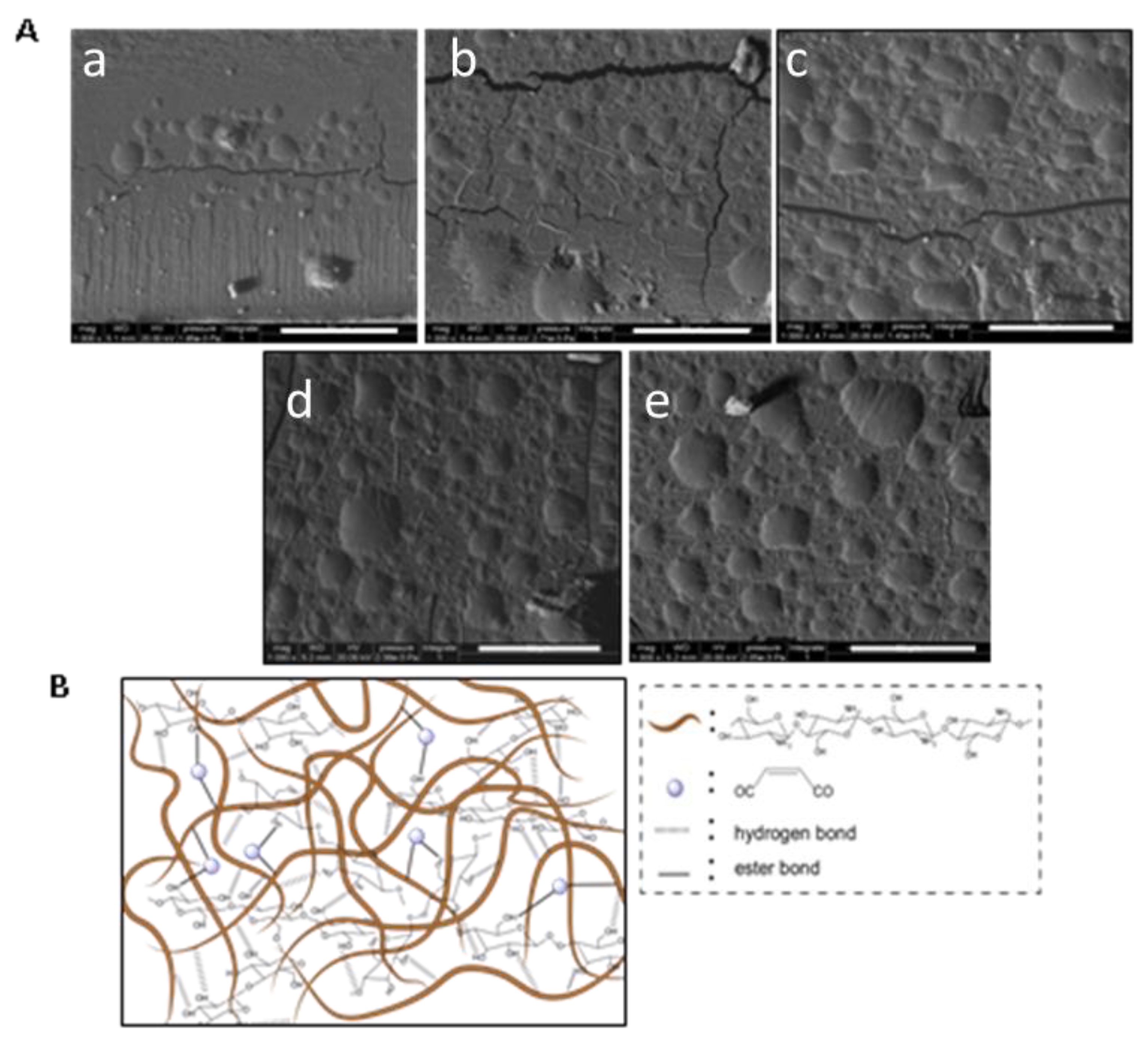 Polymers 12 01606 g003