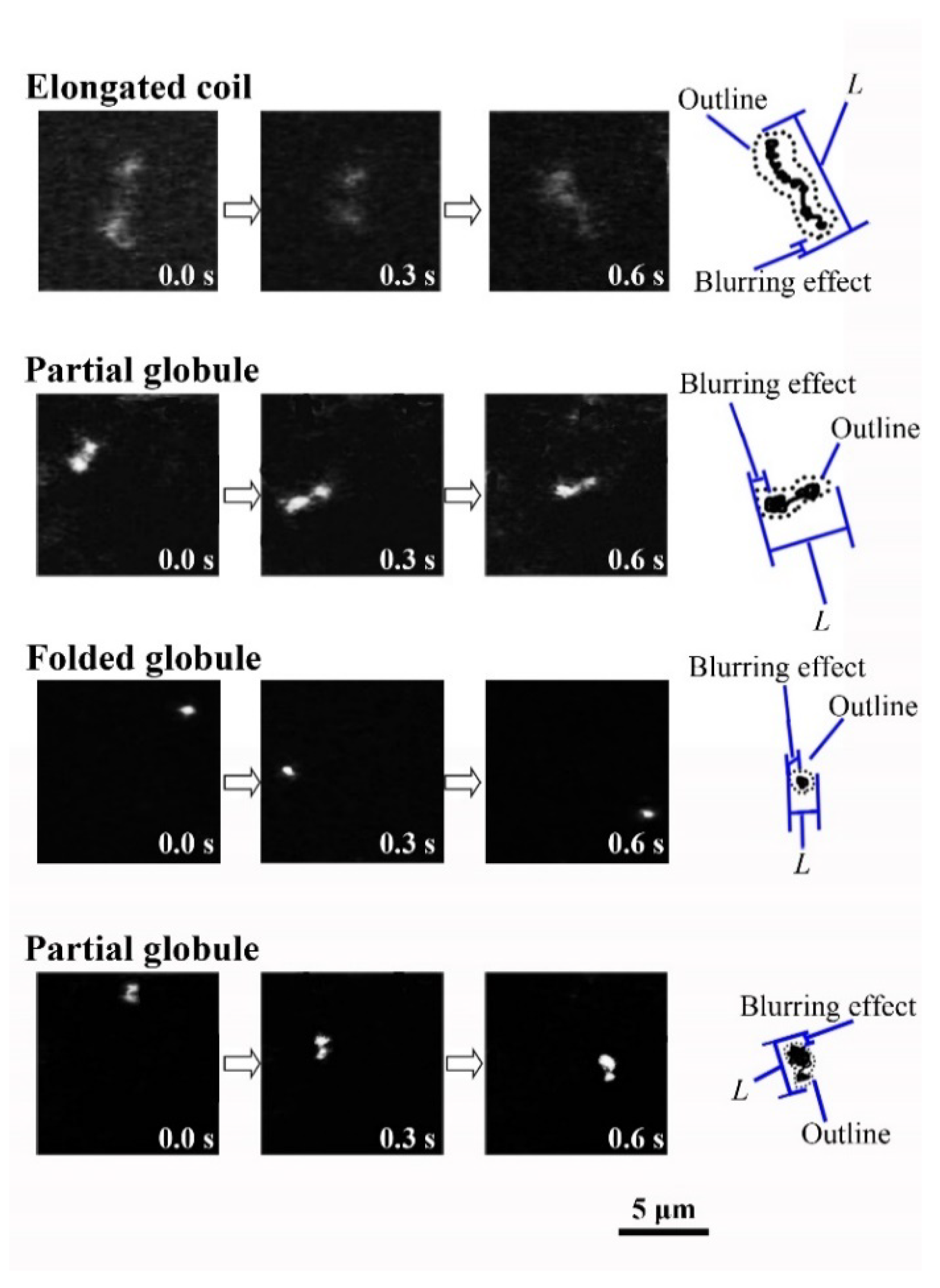 Polymers 12 01607 g001