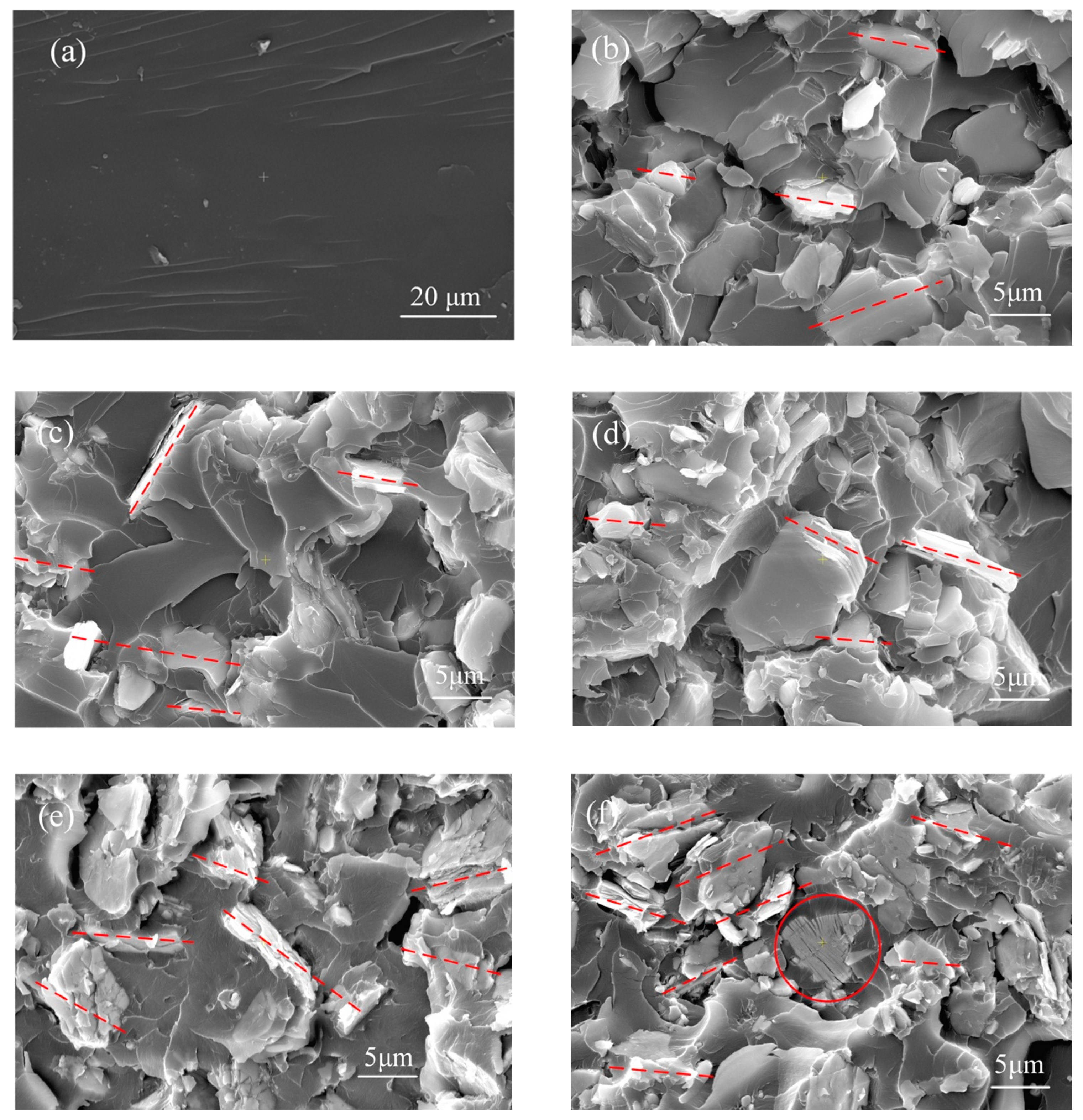 Polymers 12 01608 g002 Polymers 12 01608 g002