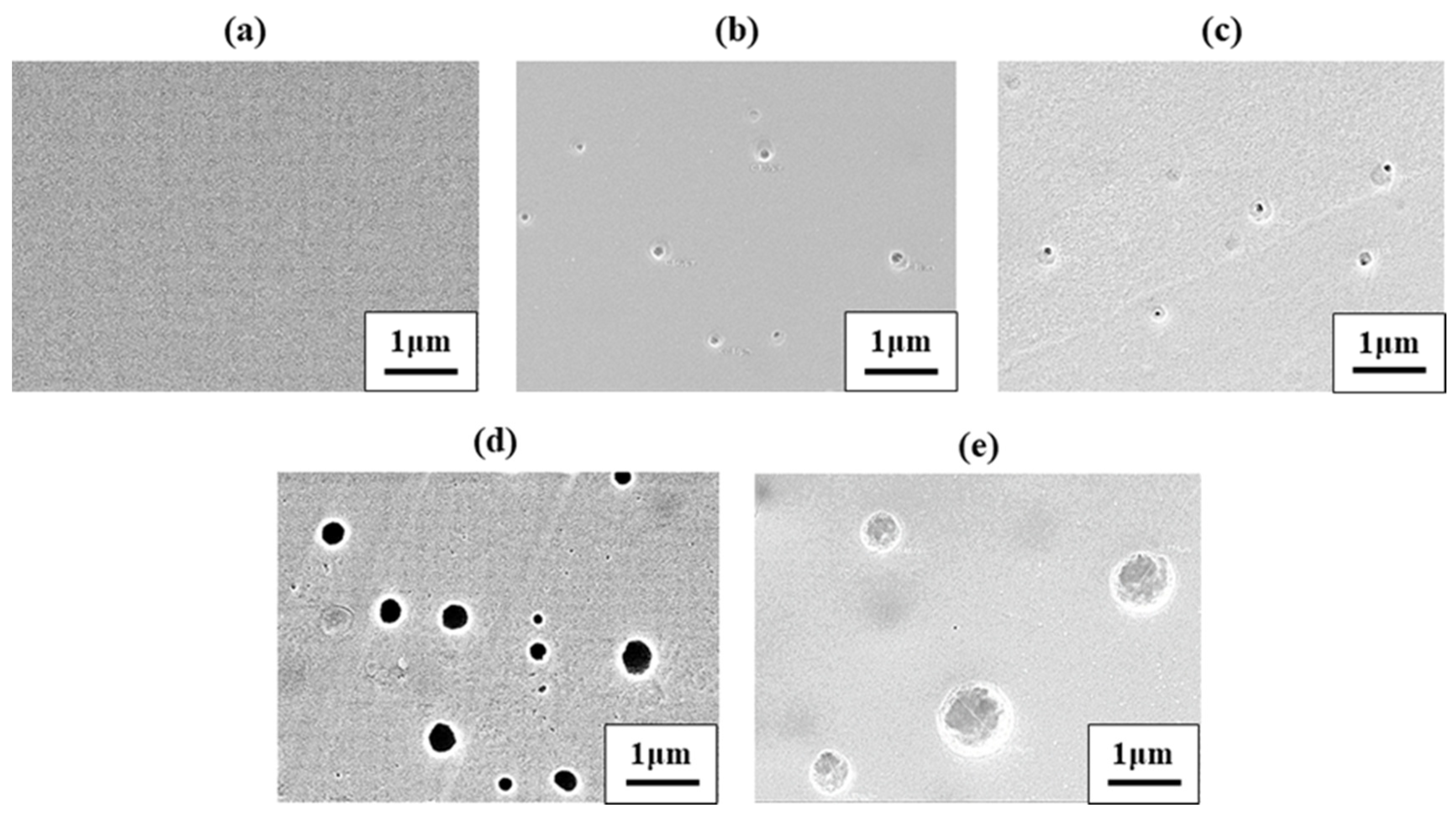 Polymers 12 01610 g007 Polymers 12 01610 g007