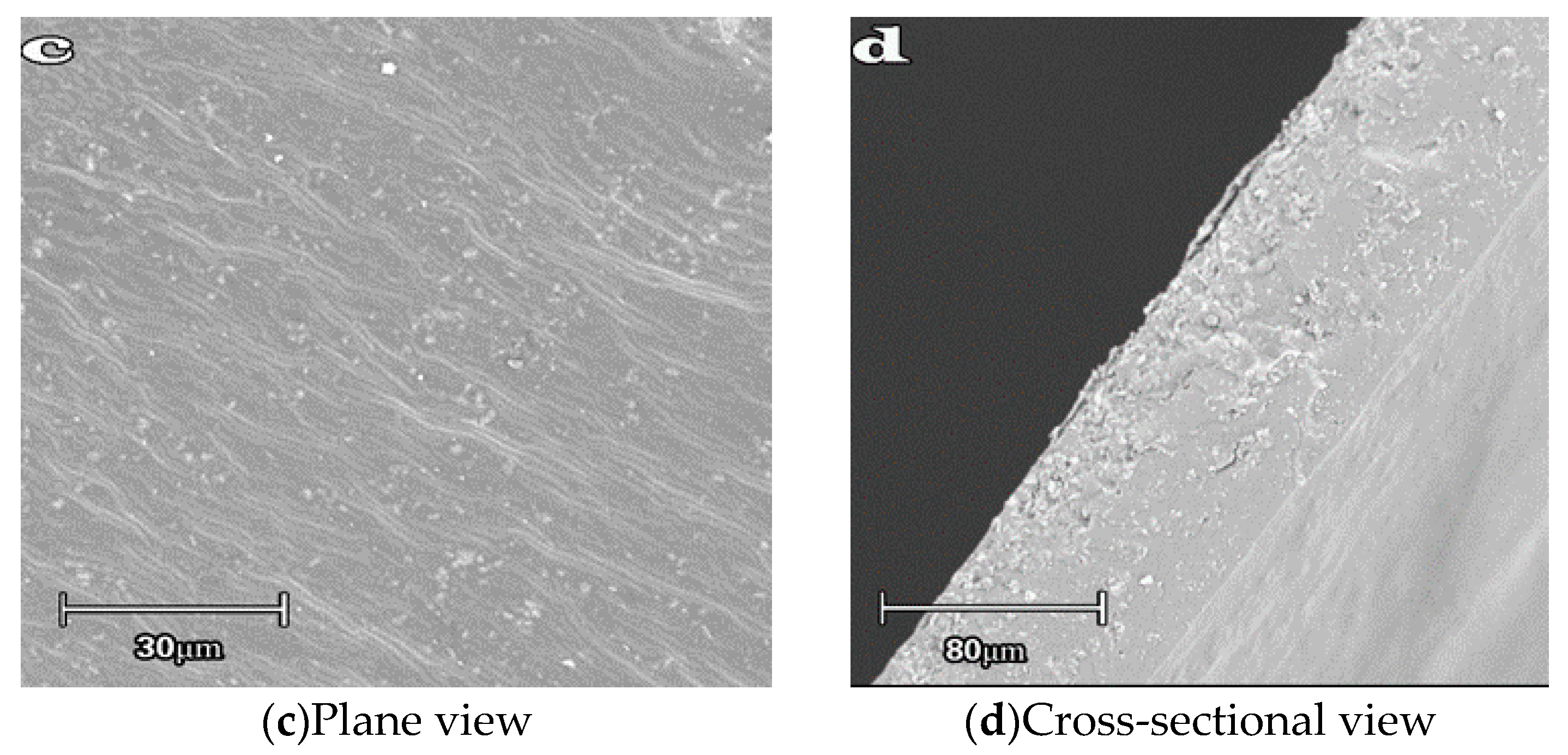 Polymers 12 01611 g002b