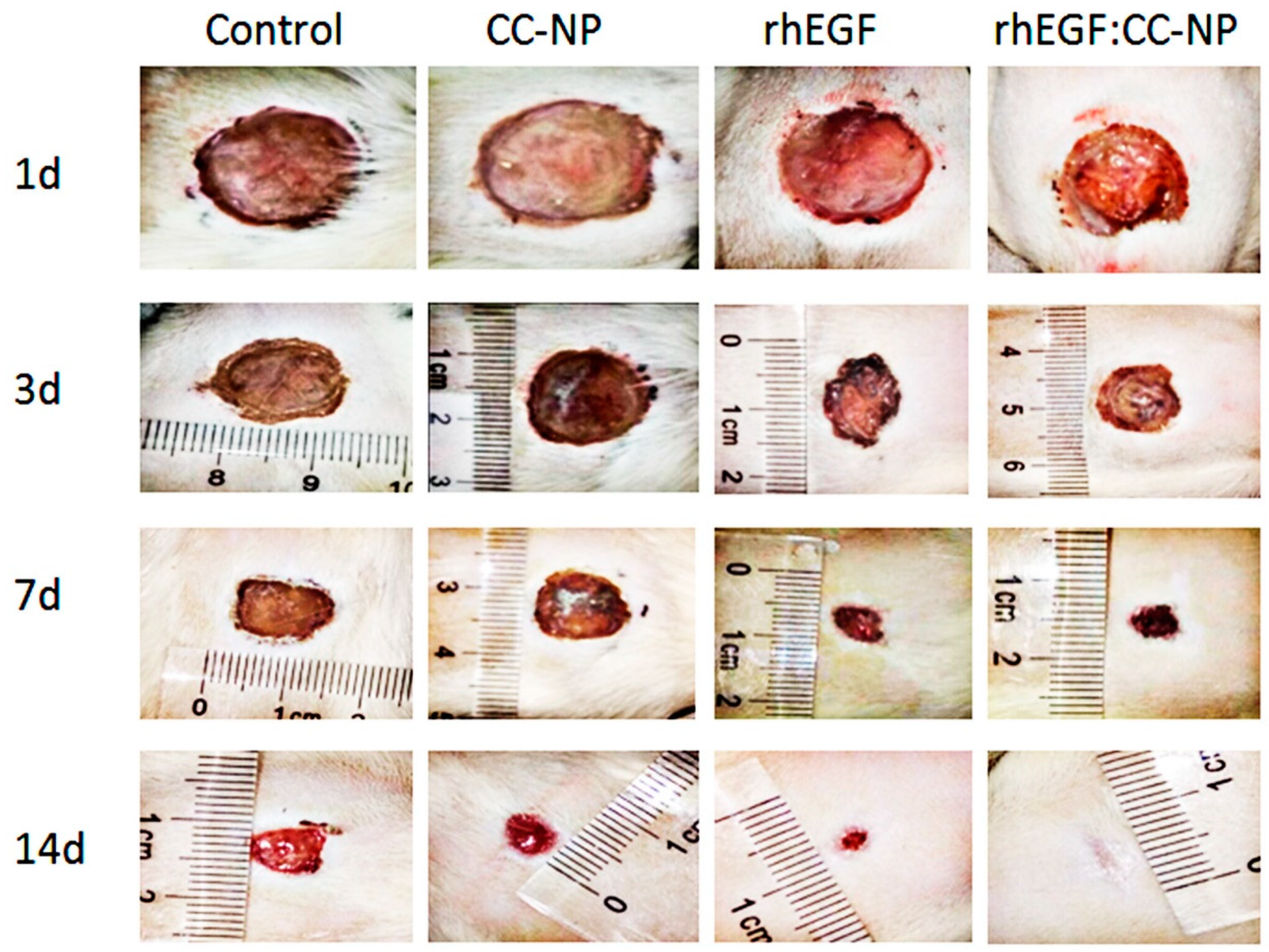 Polymers 12 01612 g008 Polymers 12 01612 g008