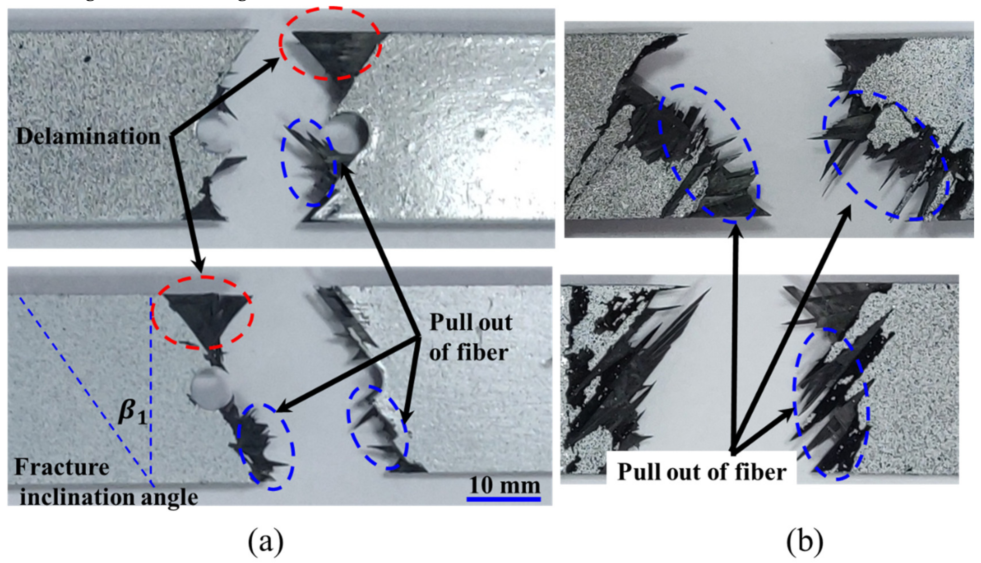 Polymers 12 01622 g013