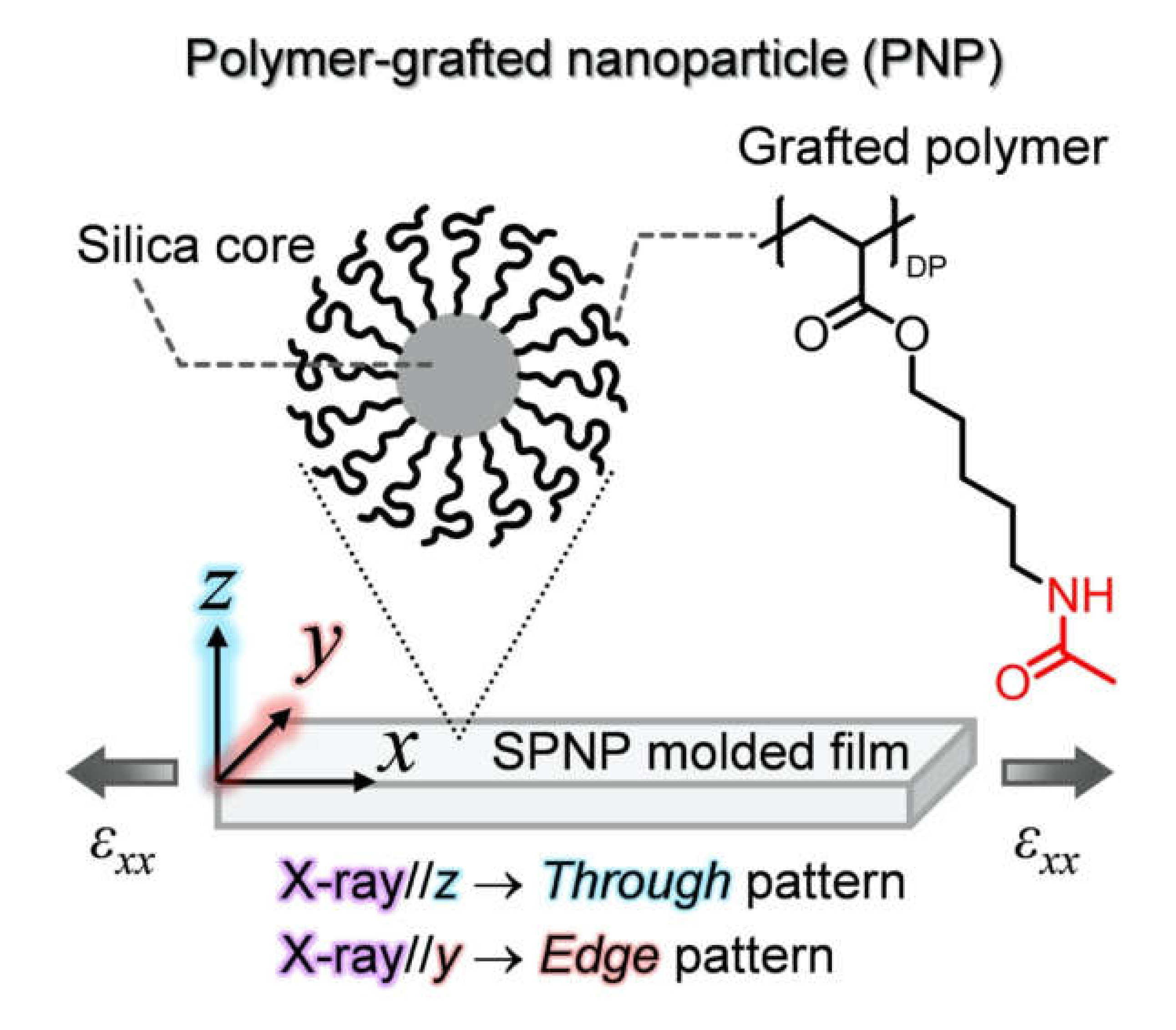 Polymers Free Full Text Application Of Synchrotron Radiation X Ray Scattering And Spectroscopy To Soft Matter Html