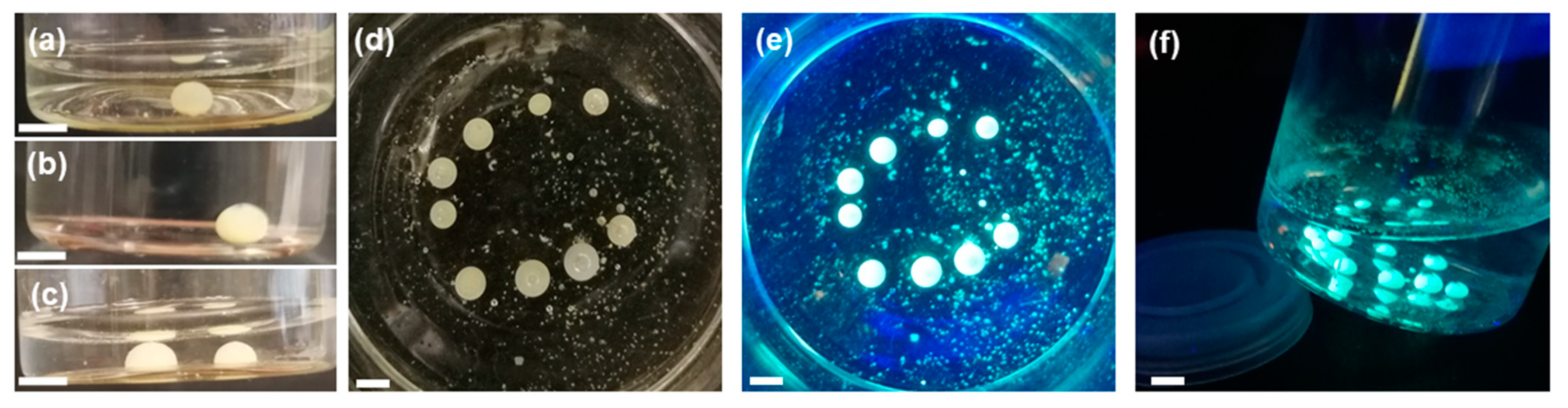 Polymers 12 01626 g002 Polymers 12 01626 g002