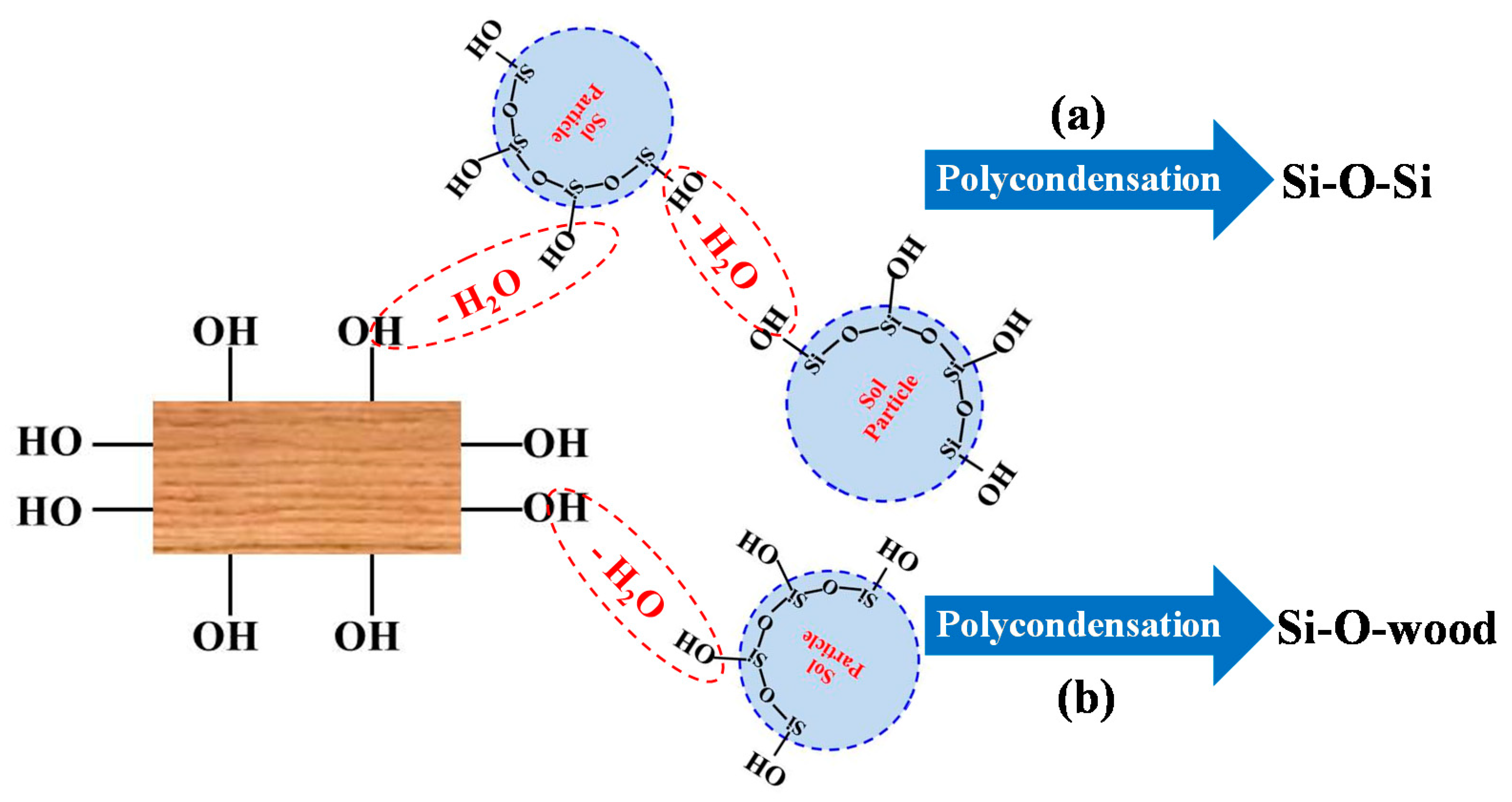 Polymers 12 01632 g004