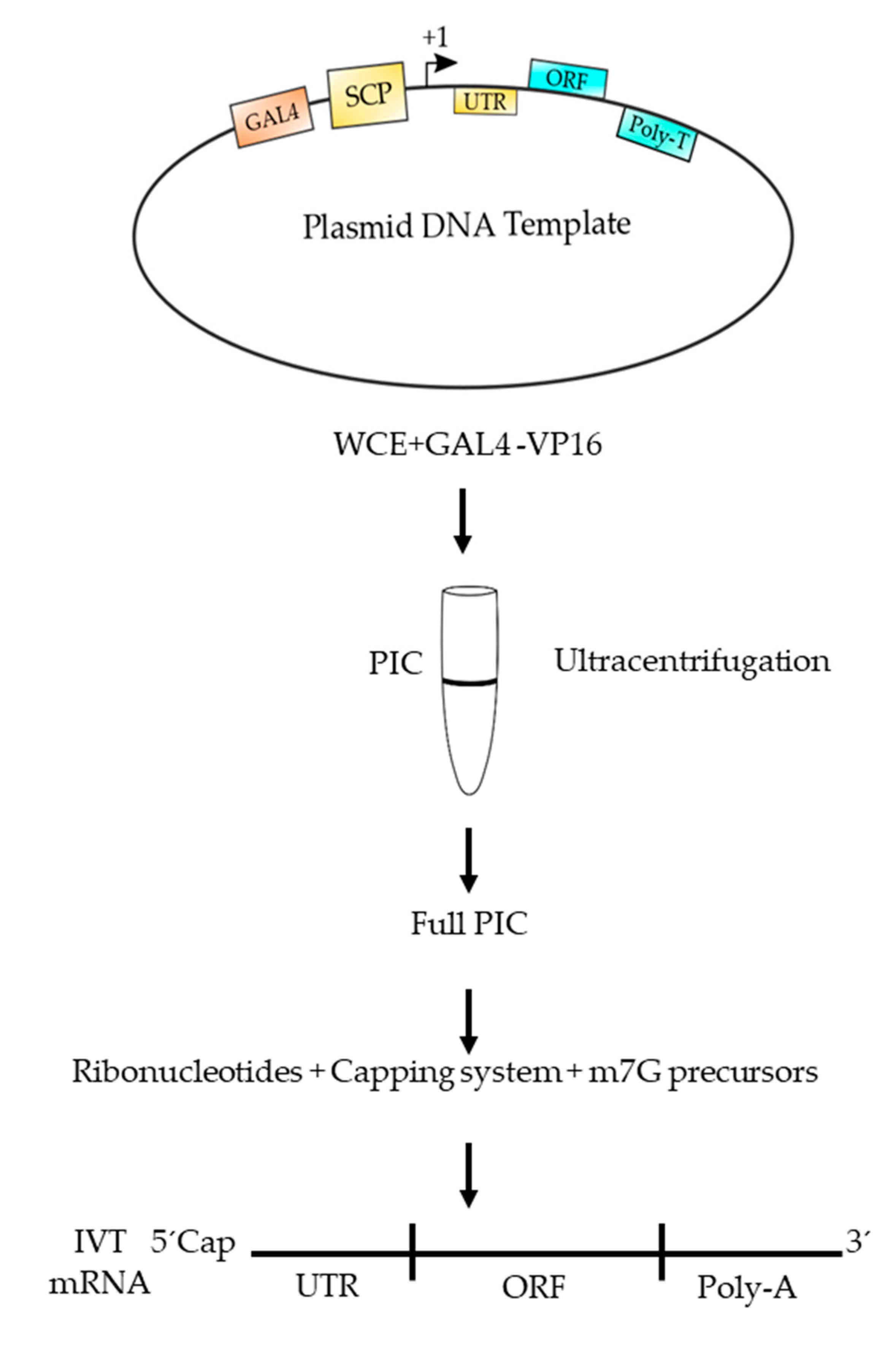 Polymers 12 01633 g007 Polymers 12 01633 g007