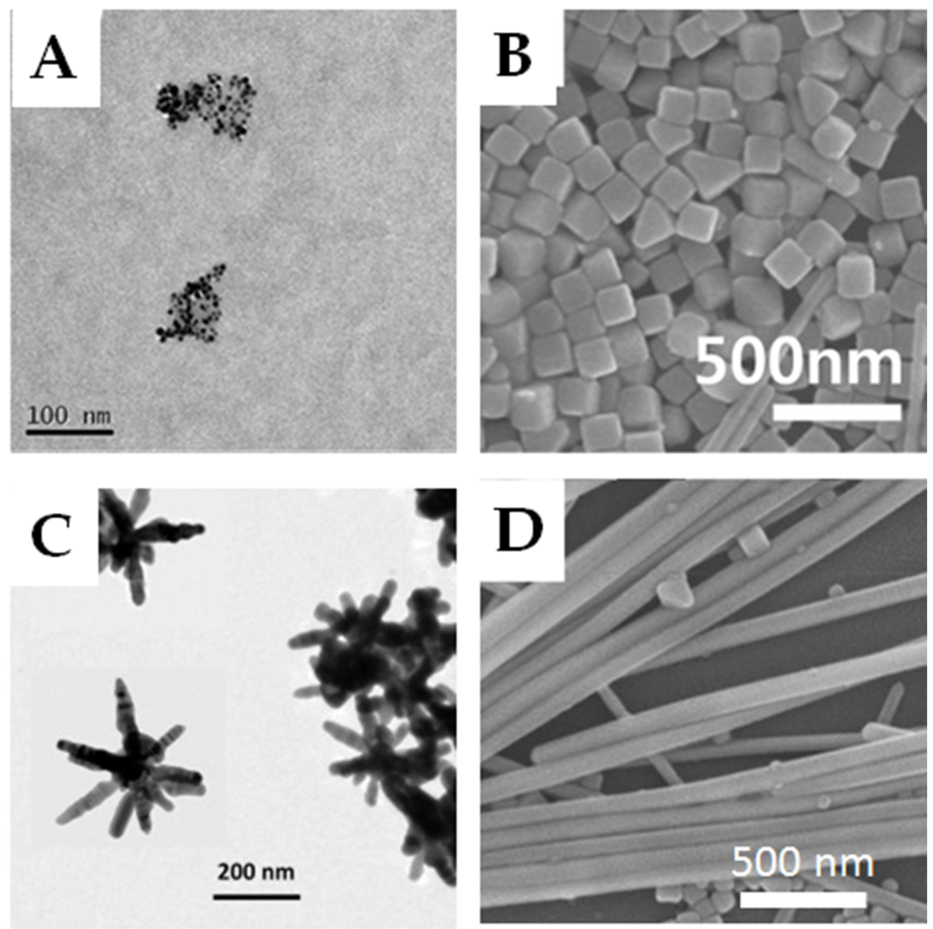 Polymers 12 01635 g001
