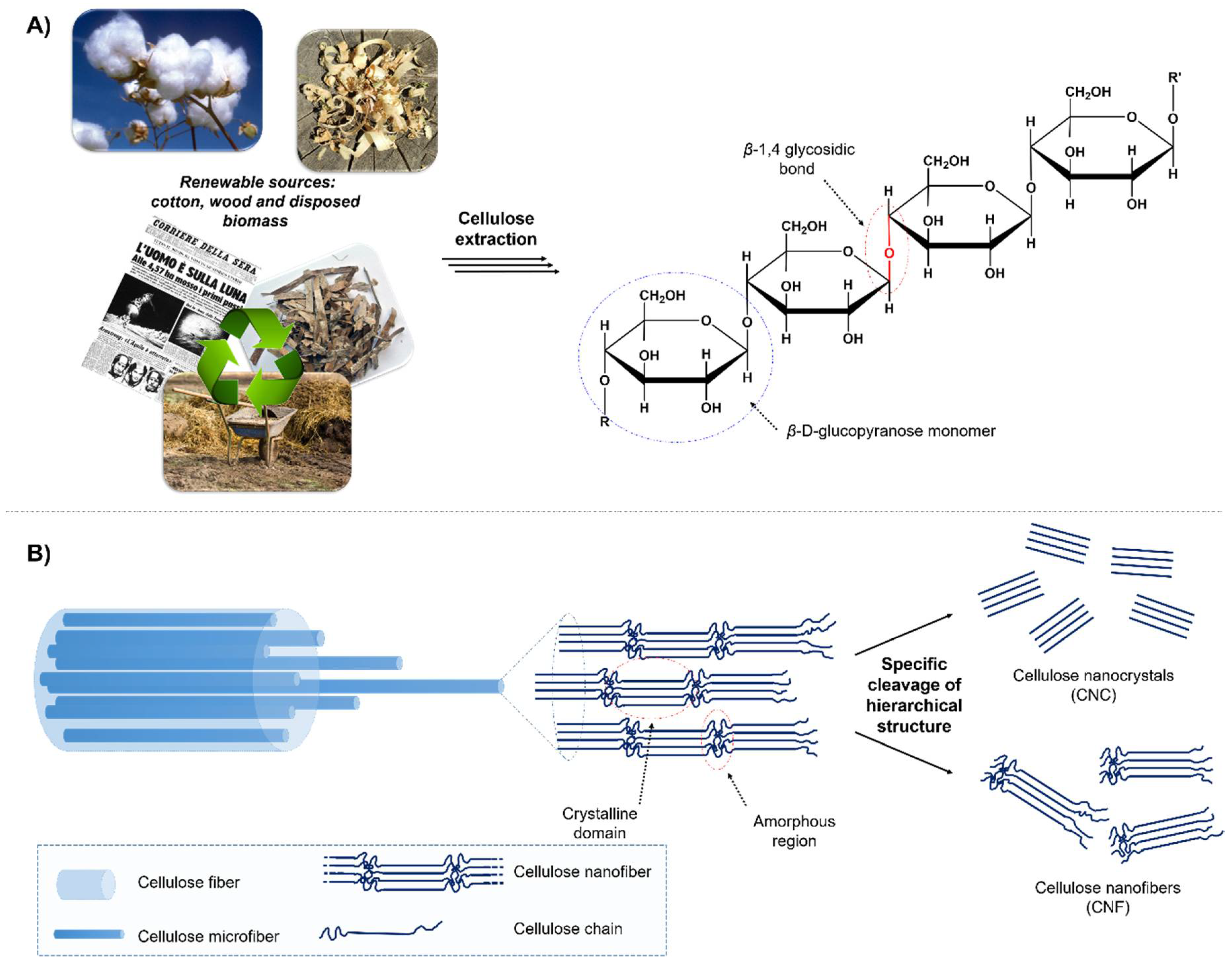 Polymers 12 01635 g006