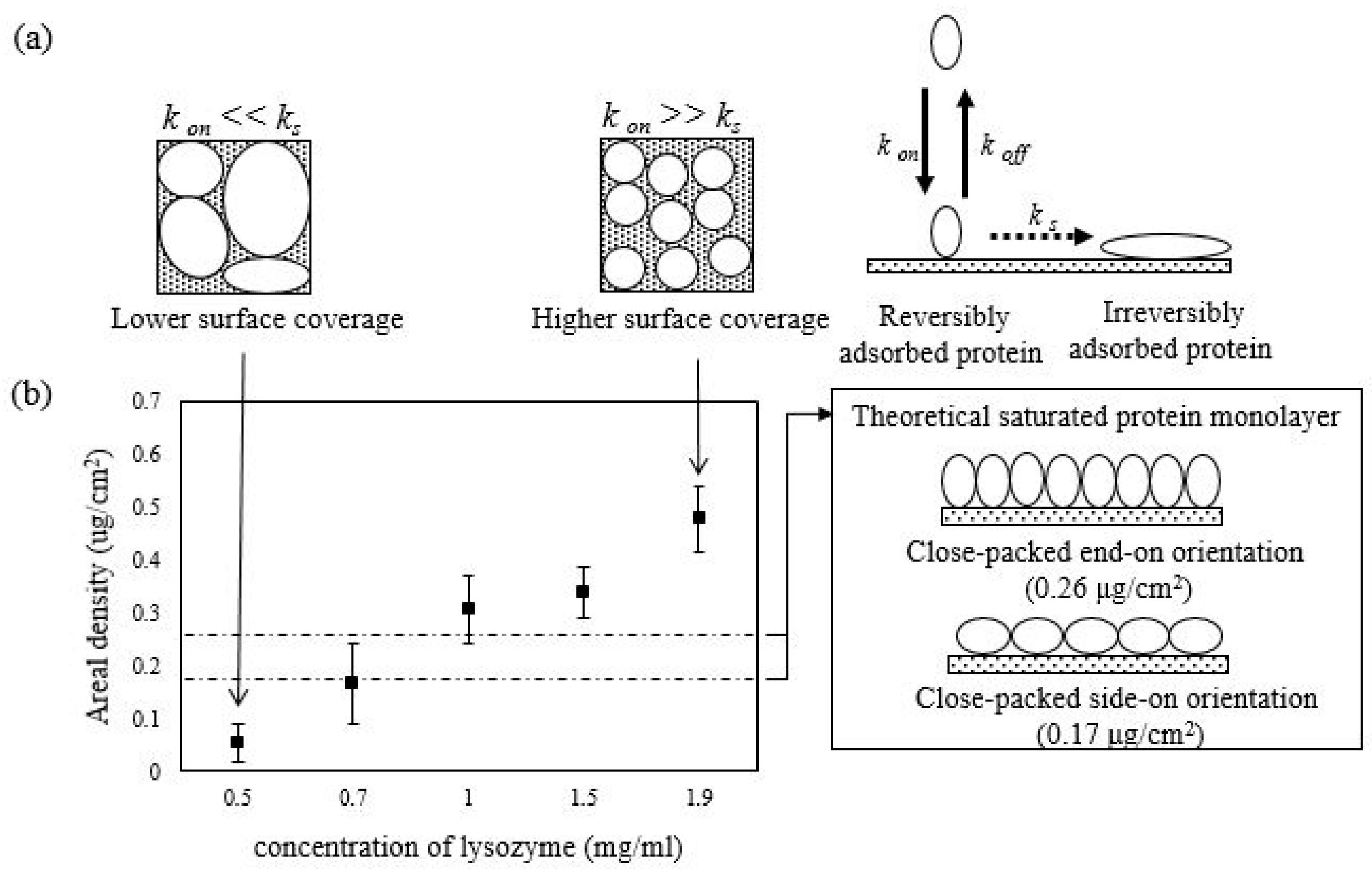 Polymers 12 01639 g001