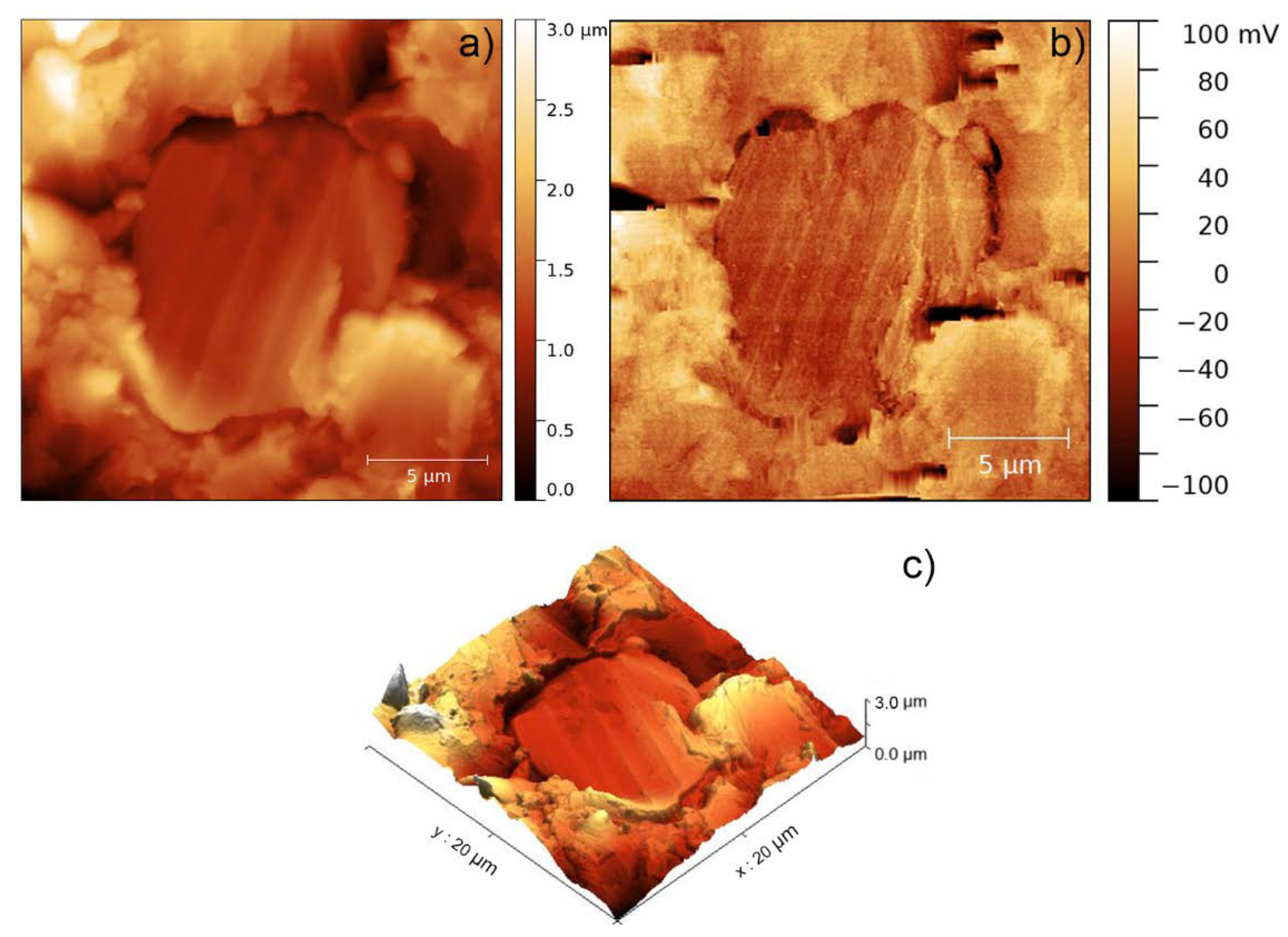Polymers 12 01642 g004 Polymers 12 01642 g004