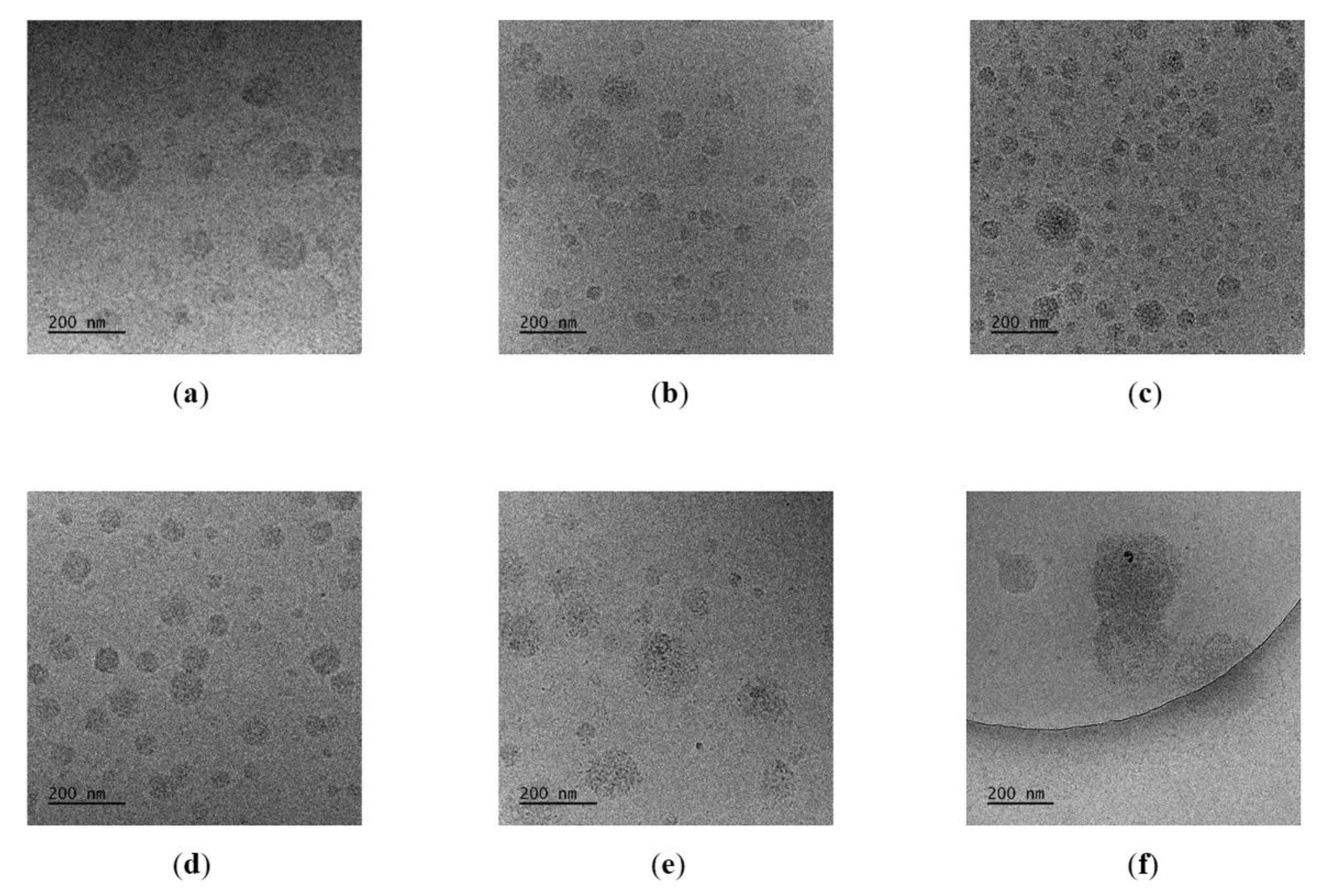 Polymers 12 01645 g006 Polymers 12 01645 g006