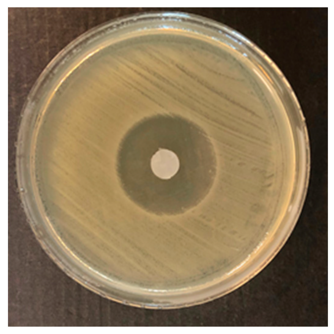 Polymers 12 01647 g003