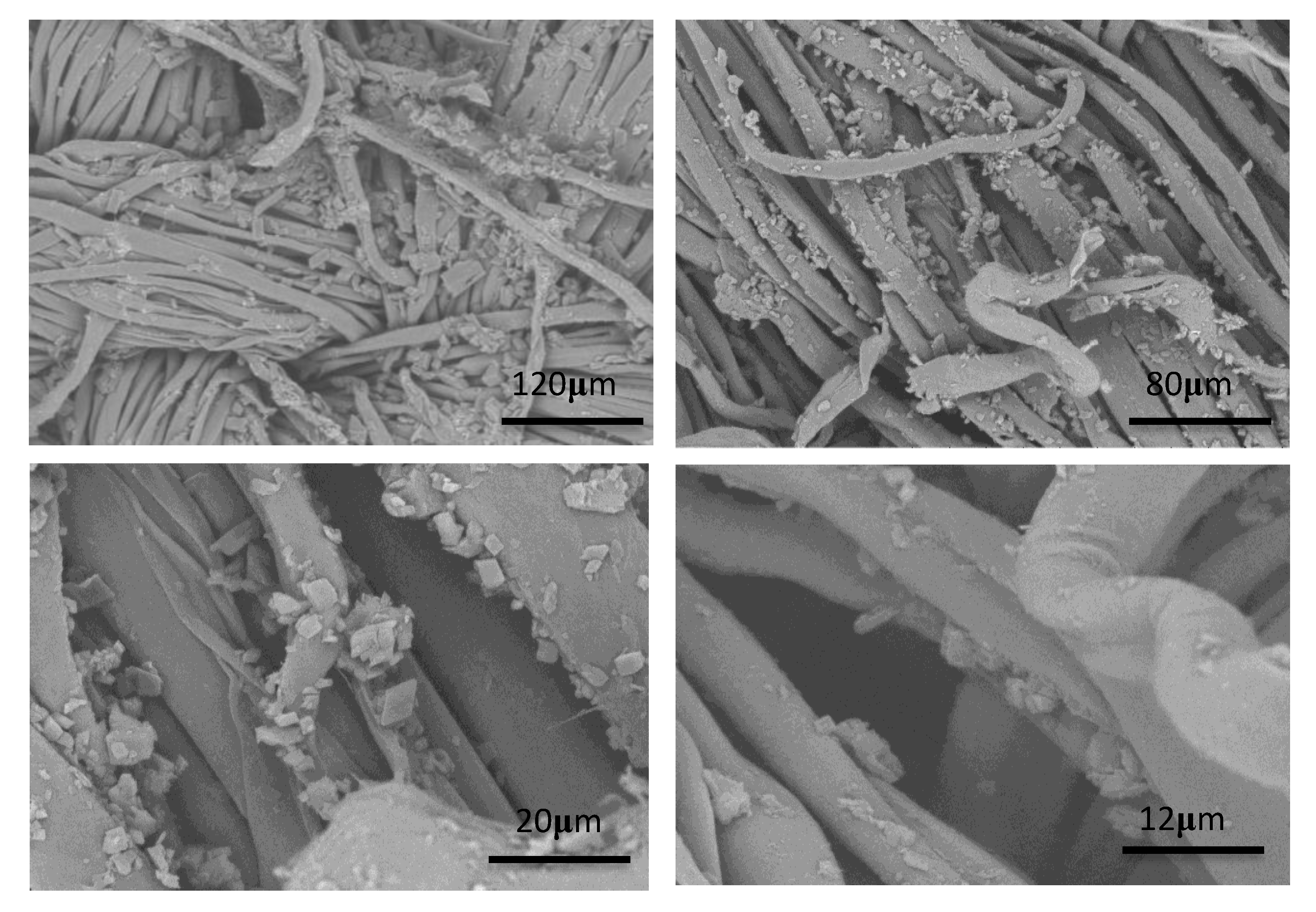 Polymers 12 01651 g008