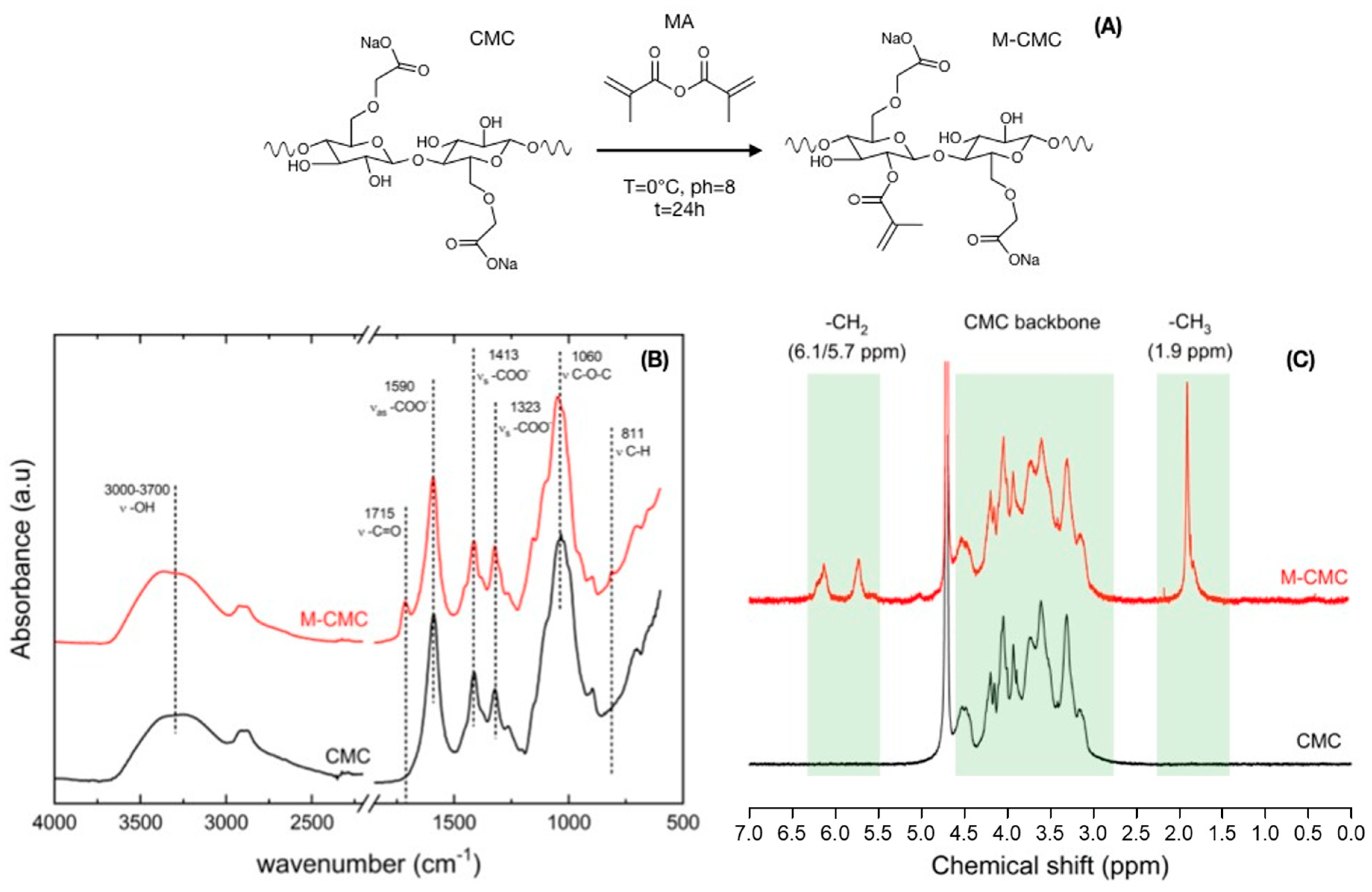 Polymers 12 01655 g001