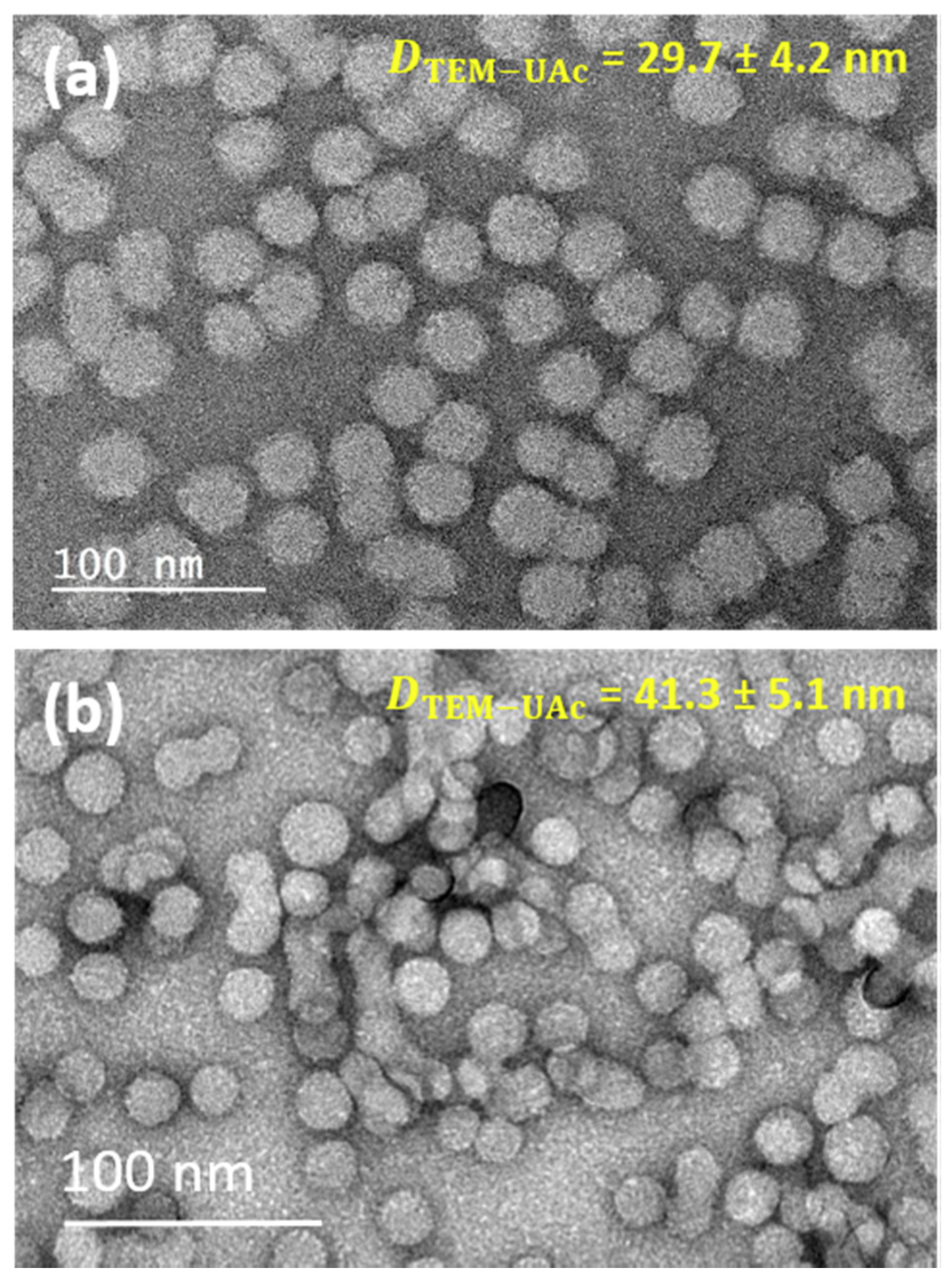 Polymers 12 01656 g004