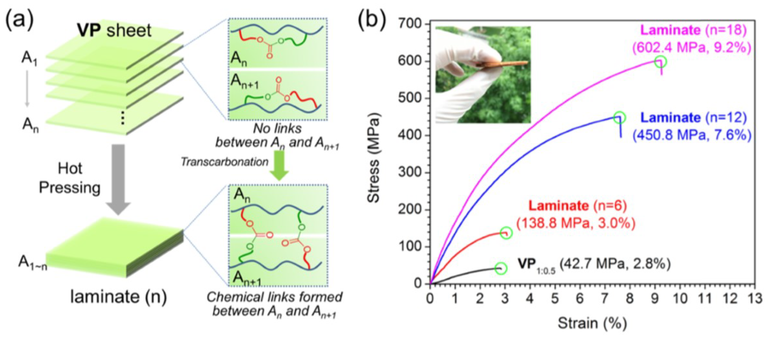 Polymers 12 01660 g012 Polymers 12 01660 g012