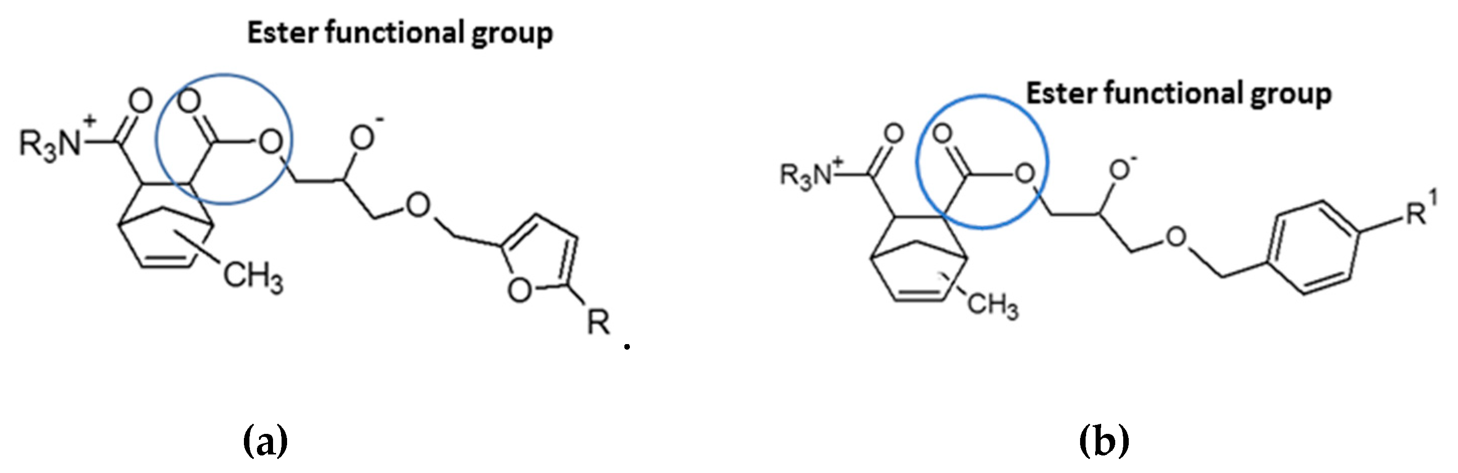 Polymers 12 01661 g005