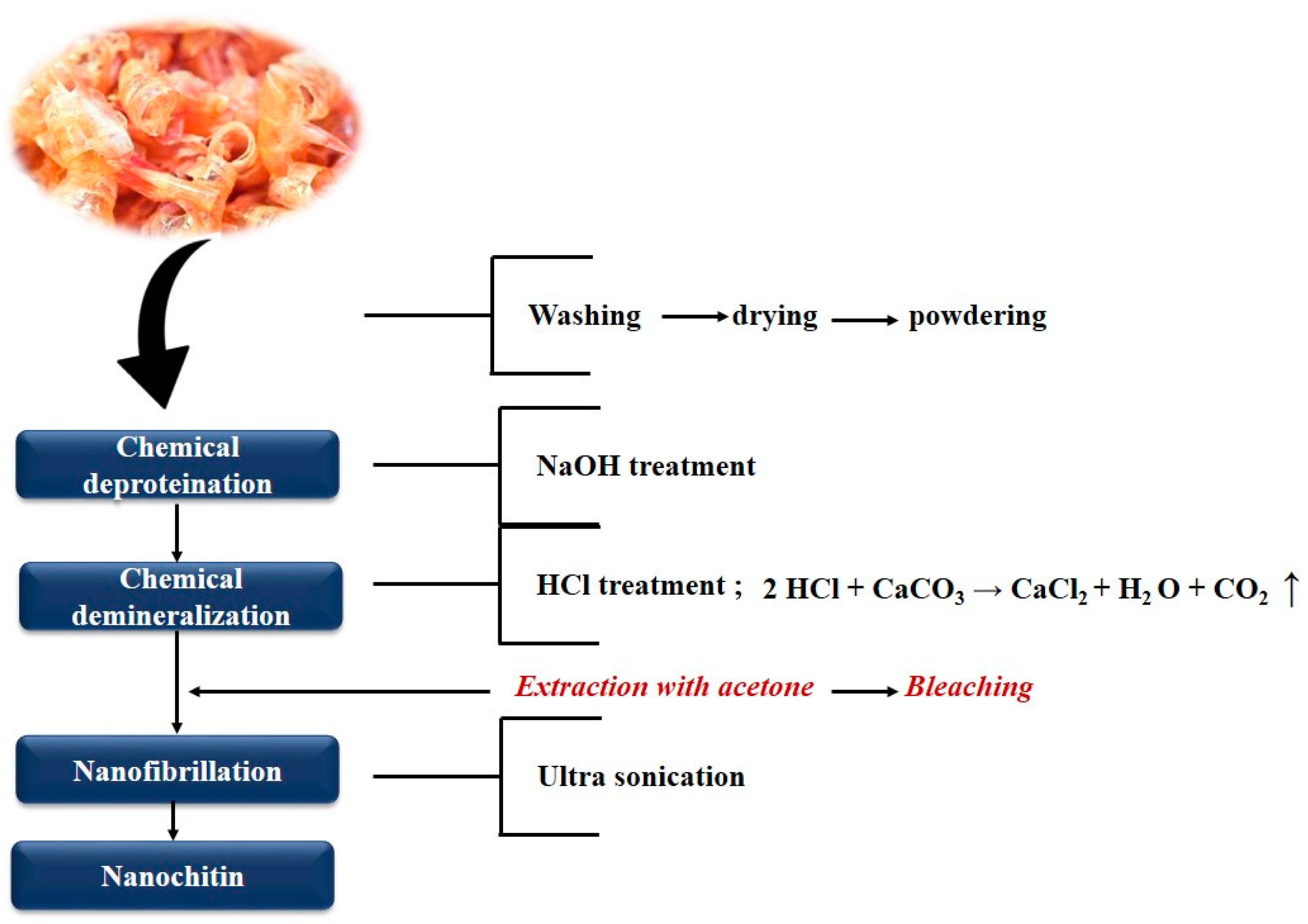 Polymers 12 01664 g003 Polymers 12 01664 g003