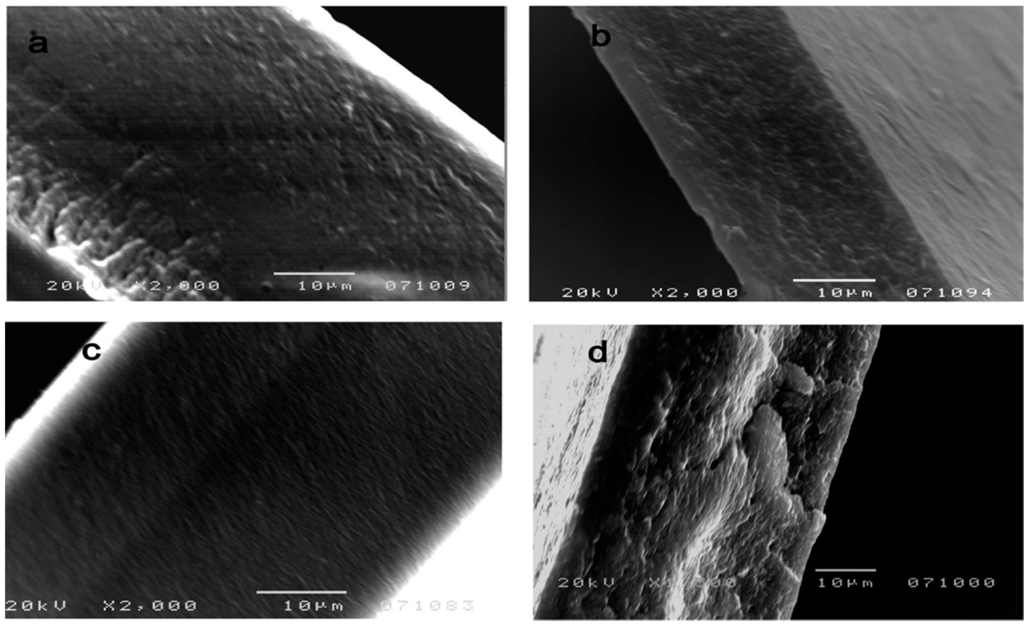 Polymers 12 01664 g011 Polymers 12 01664 g011