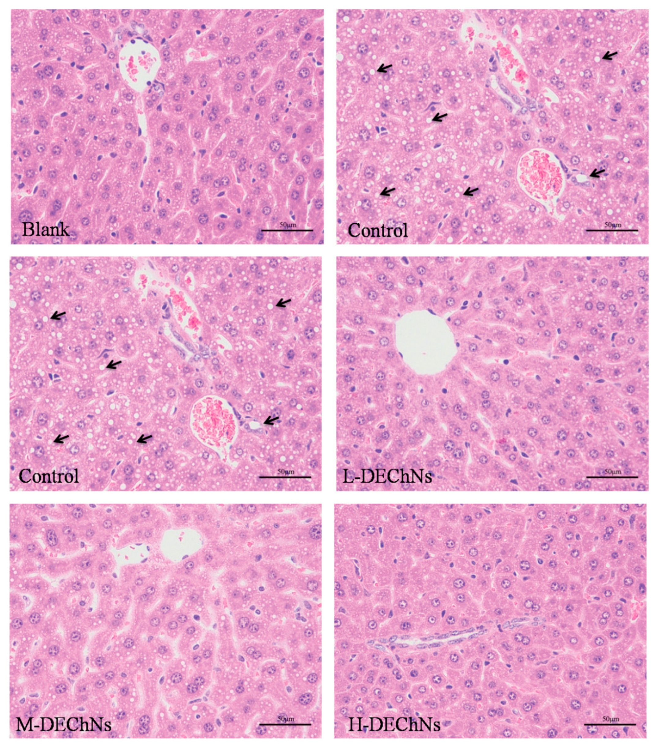 Polymers 12 01664 g026 Polymers 12 01664 g026