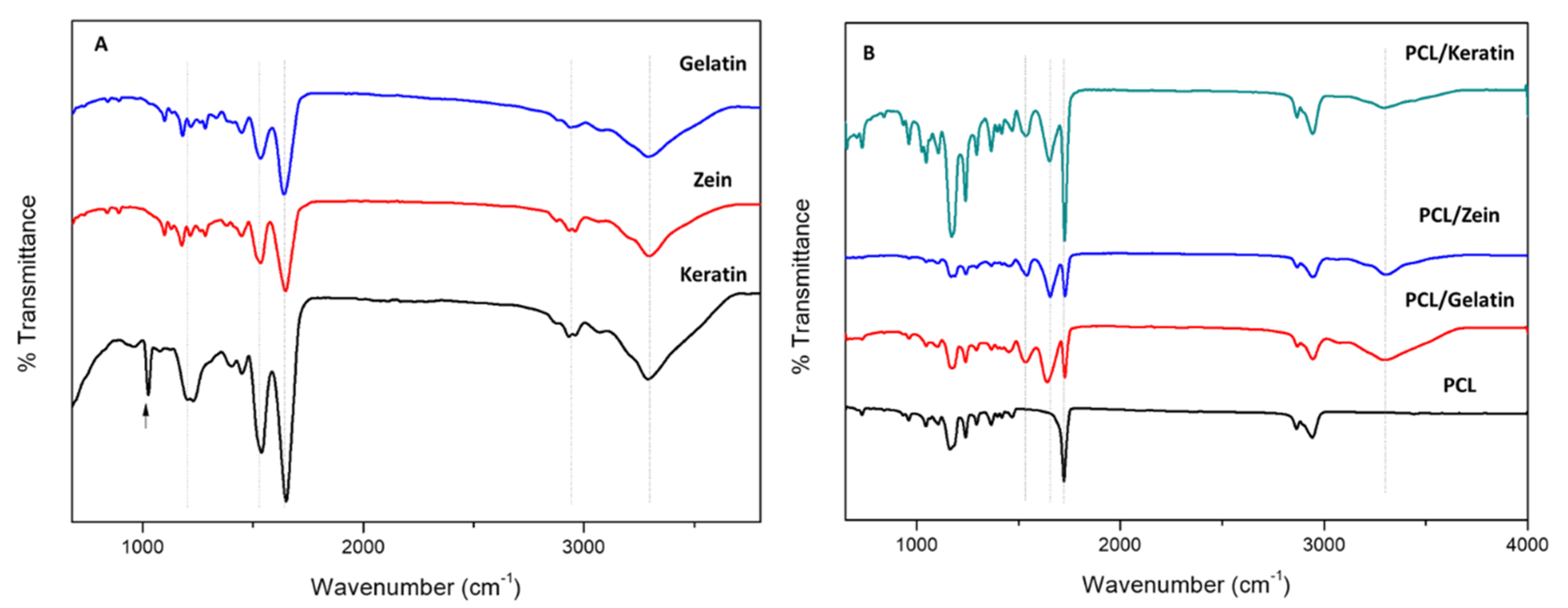 Polymers 12 01671 g002