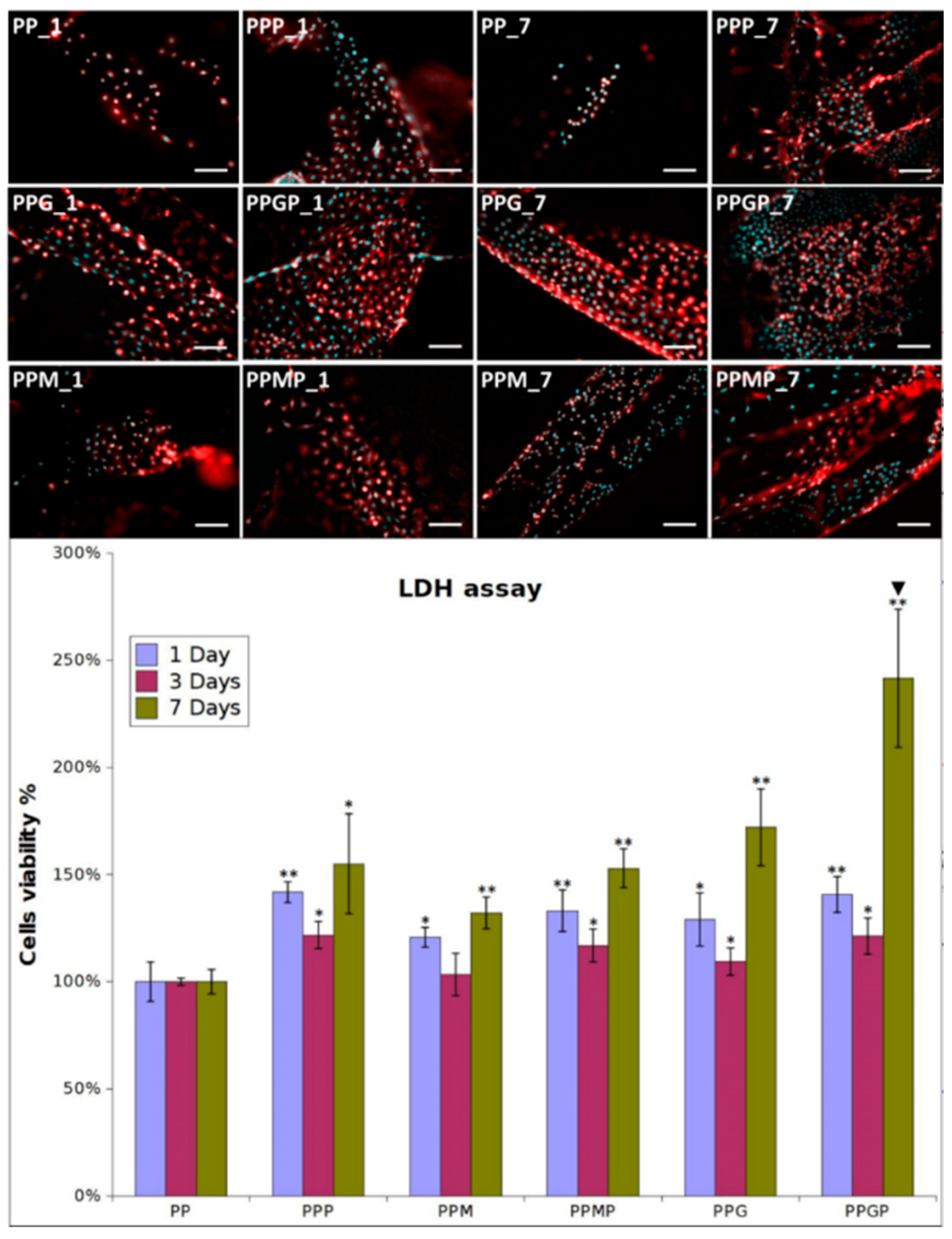 Polymers 12 01677 g003 Polymers 12 01677 g003
