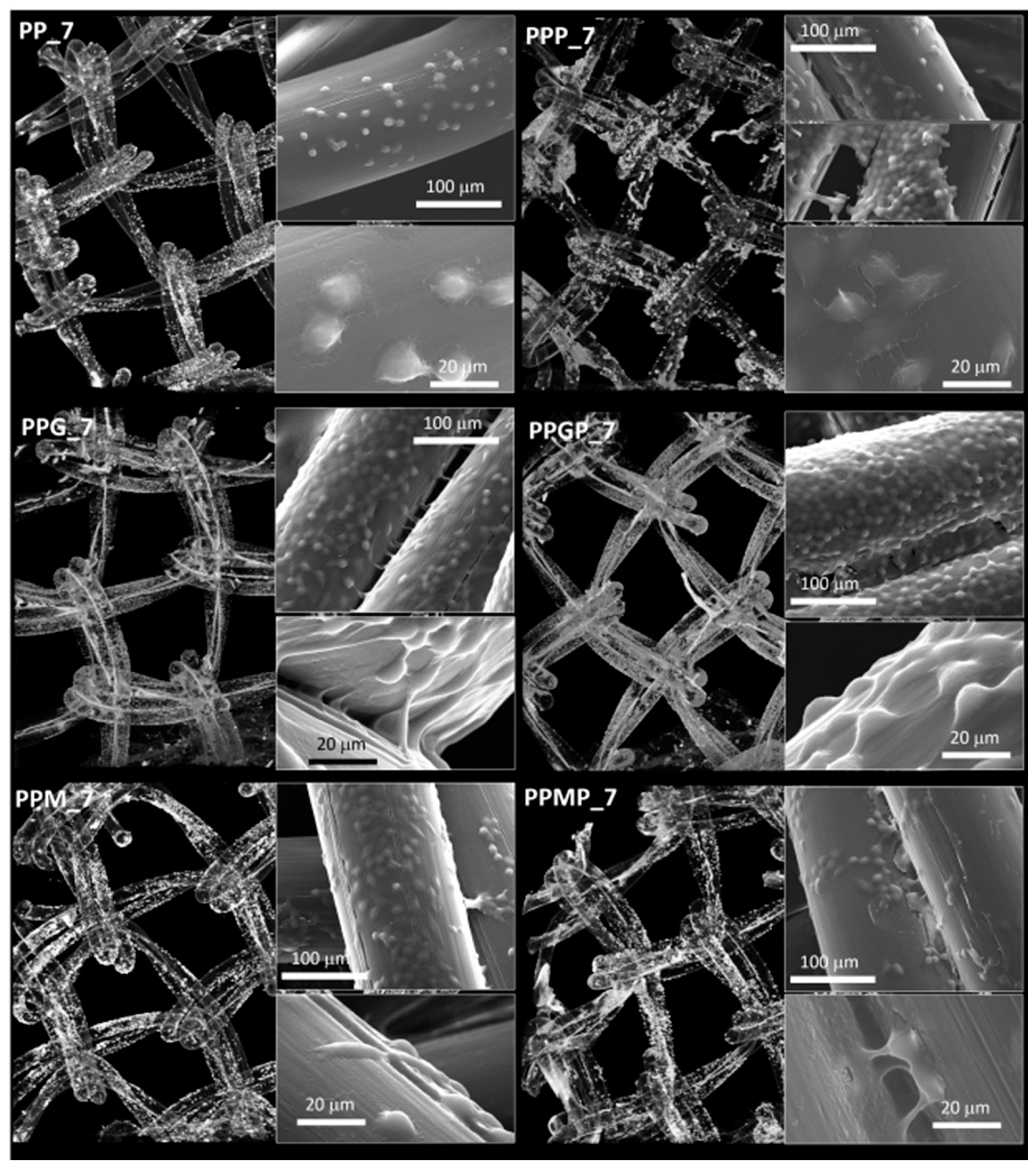 Polymers 12 01677 g005 Polymers 12 01677 g005