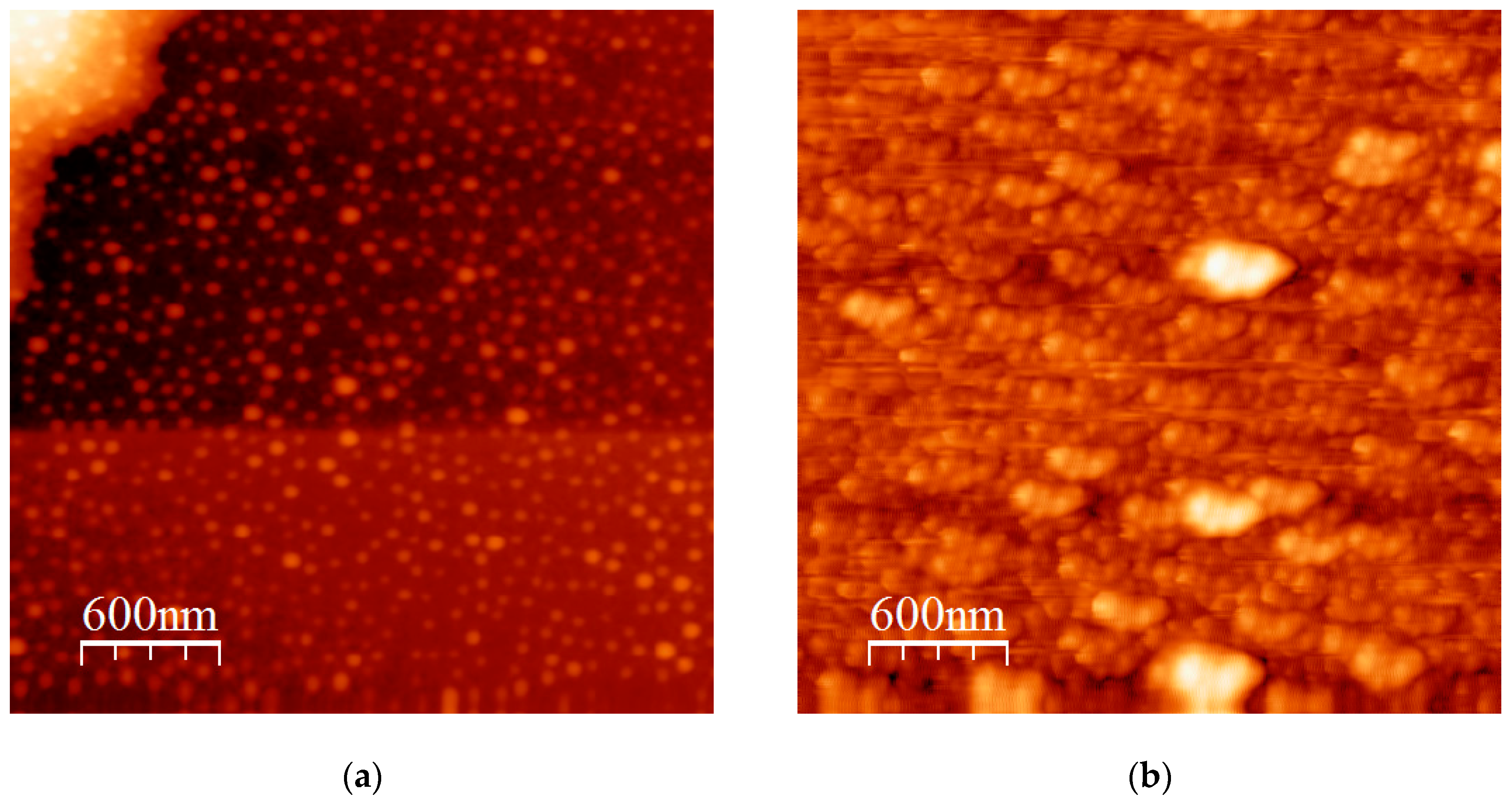 Polymers 12 01678 g009