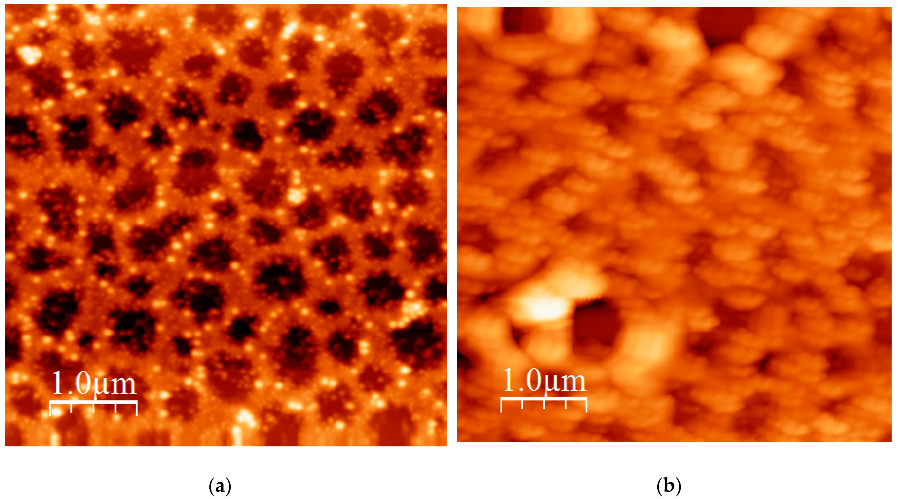 Polymers 12 01678 g011