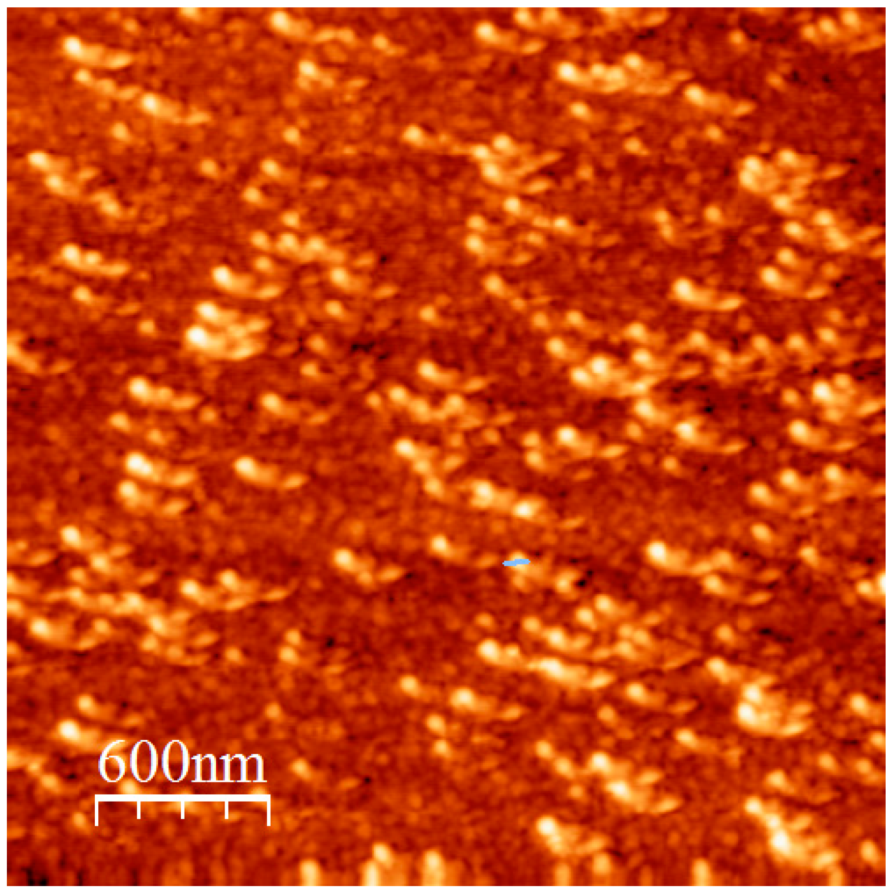 Polymers 12 01678 g012