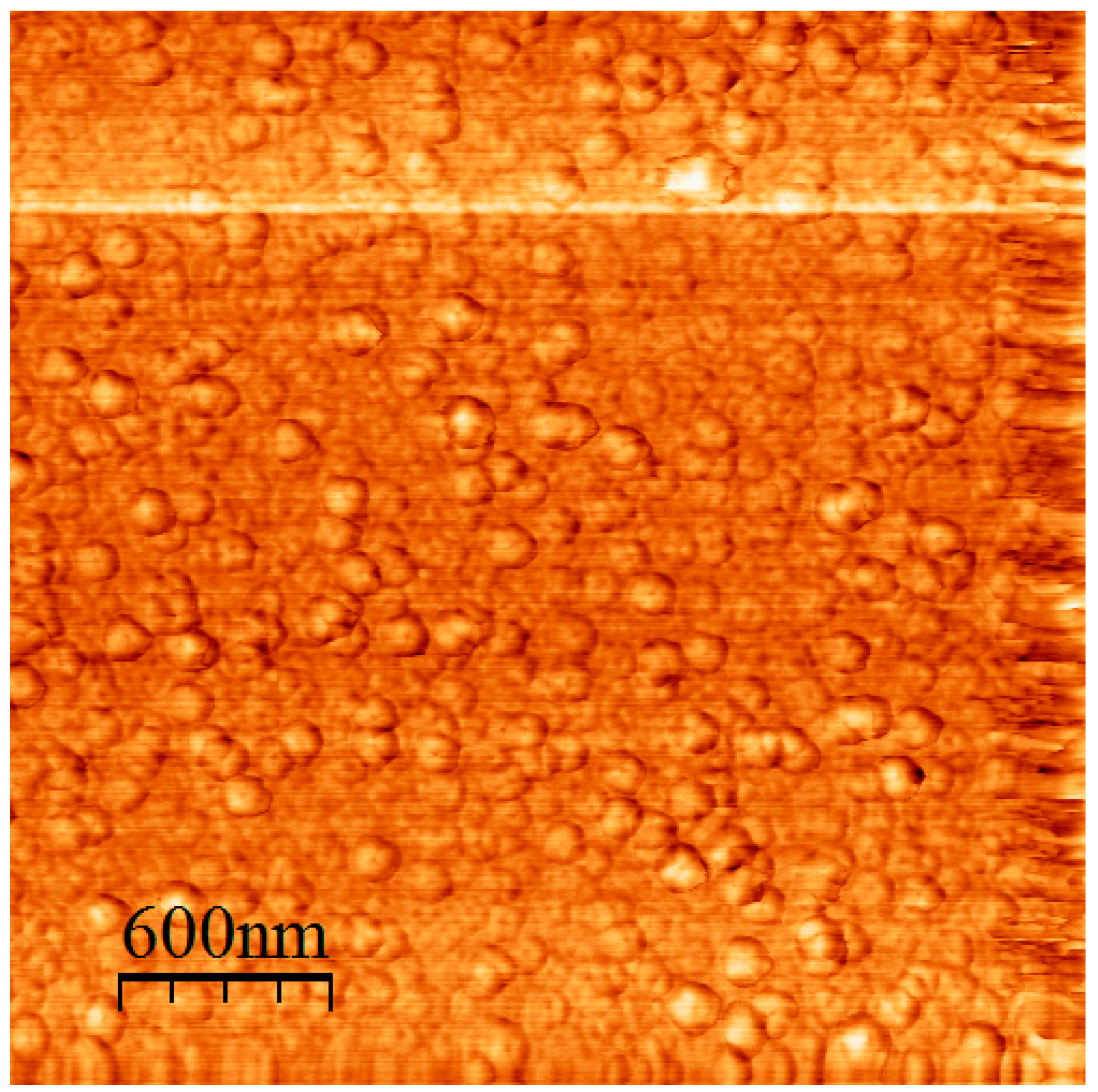 Polymers 12 01678 g013