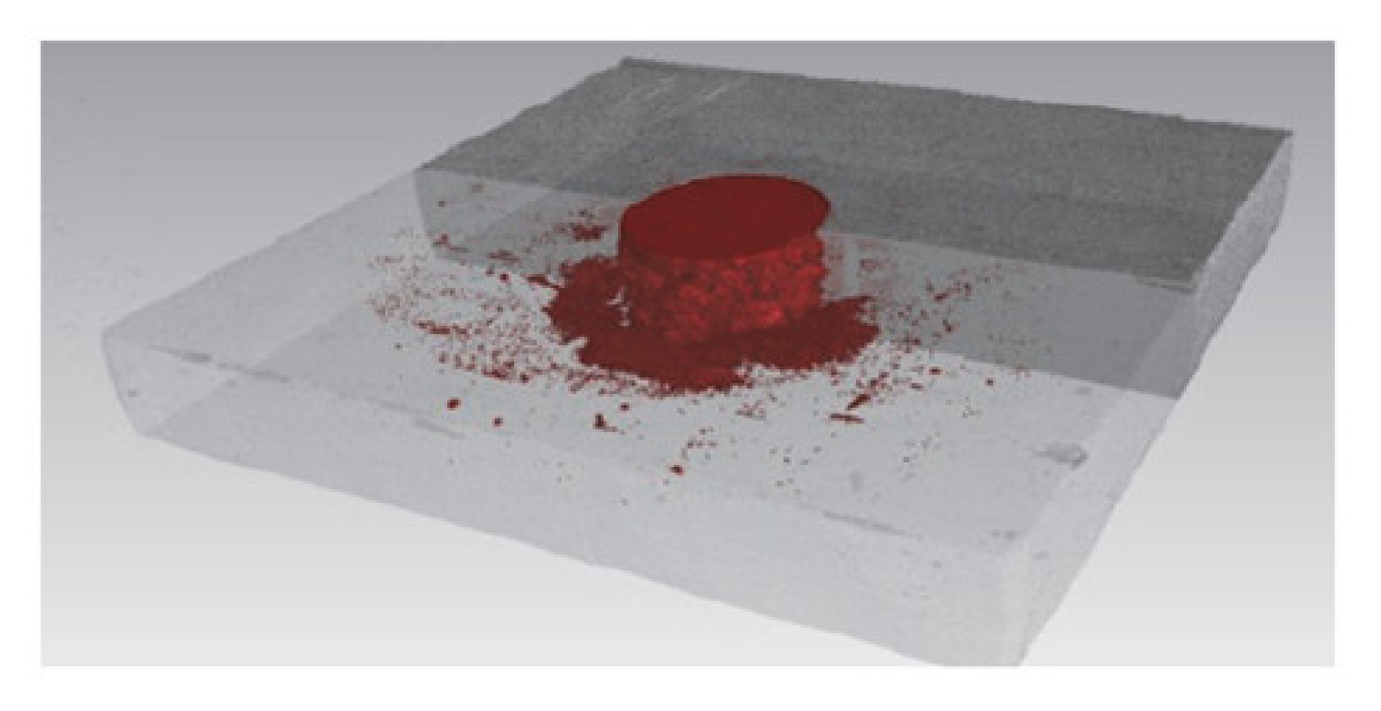 Polymers 12 01681 g002