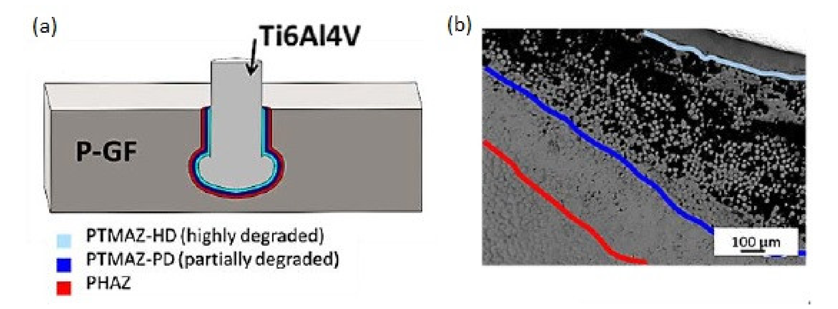 Polymers 12 01681 g005