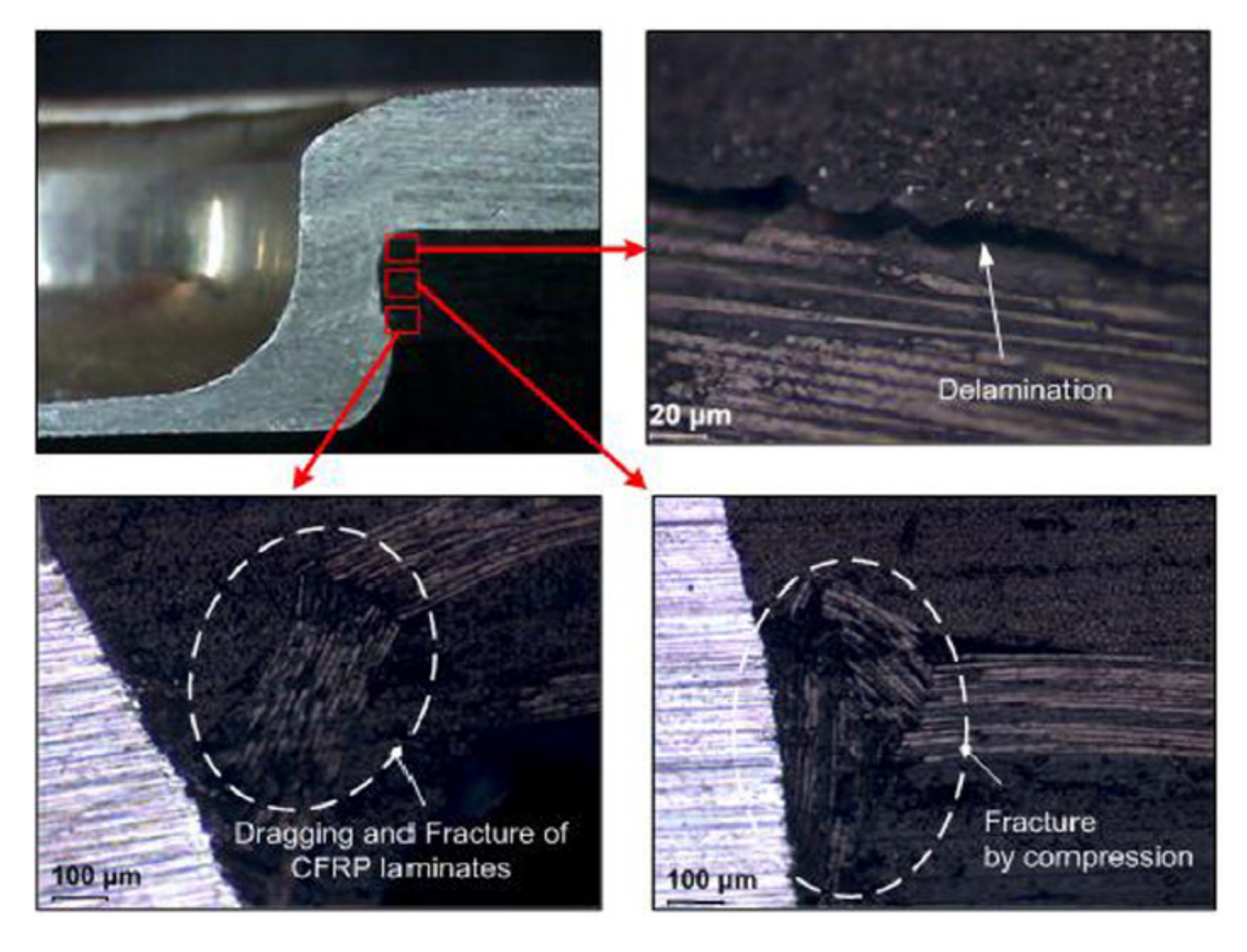 Polymers 12 01681 g010