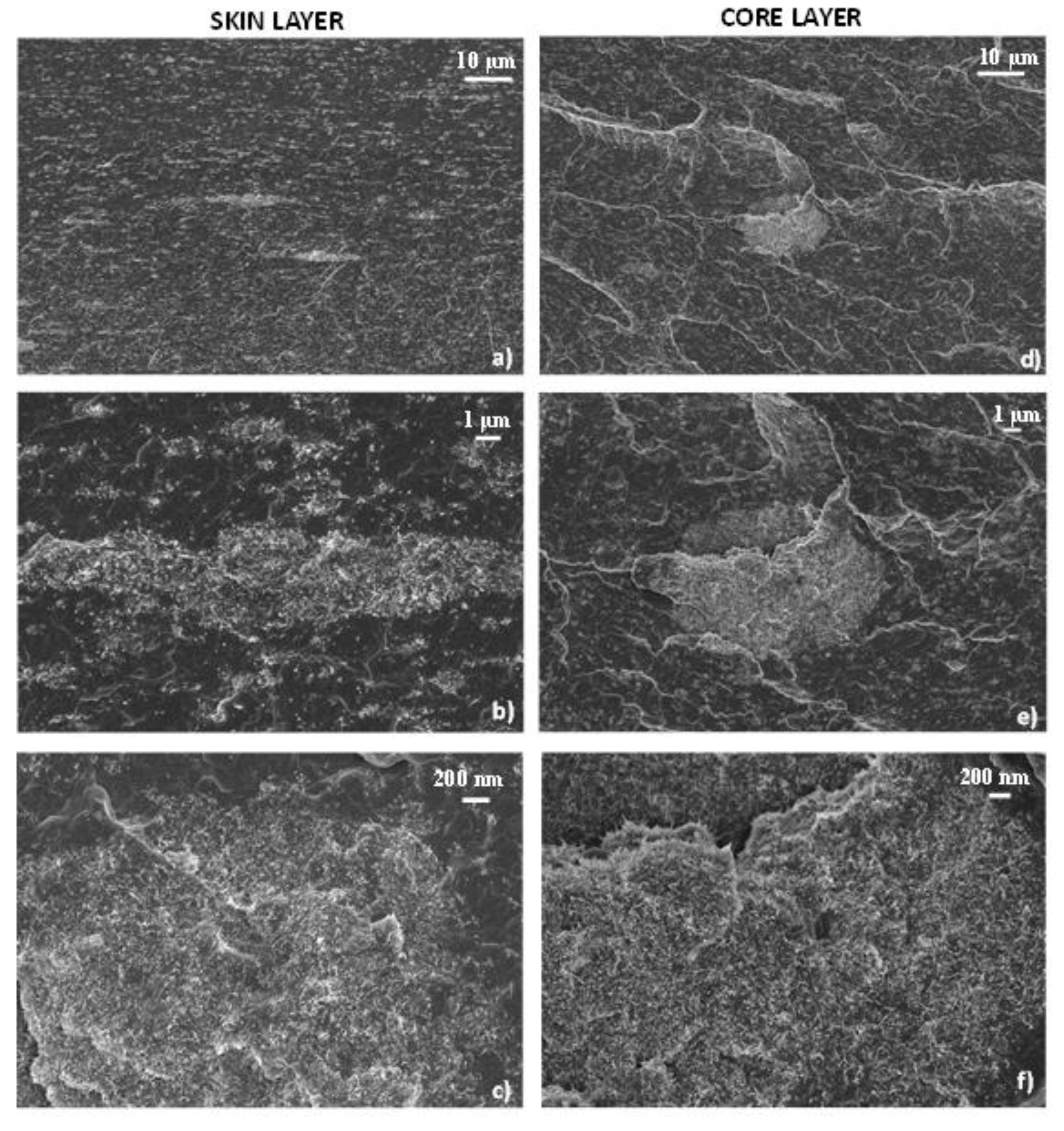 Polymers 12 01685 g004