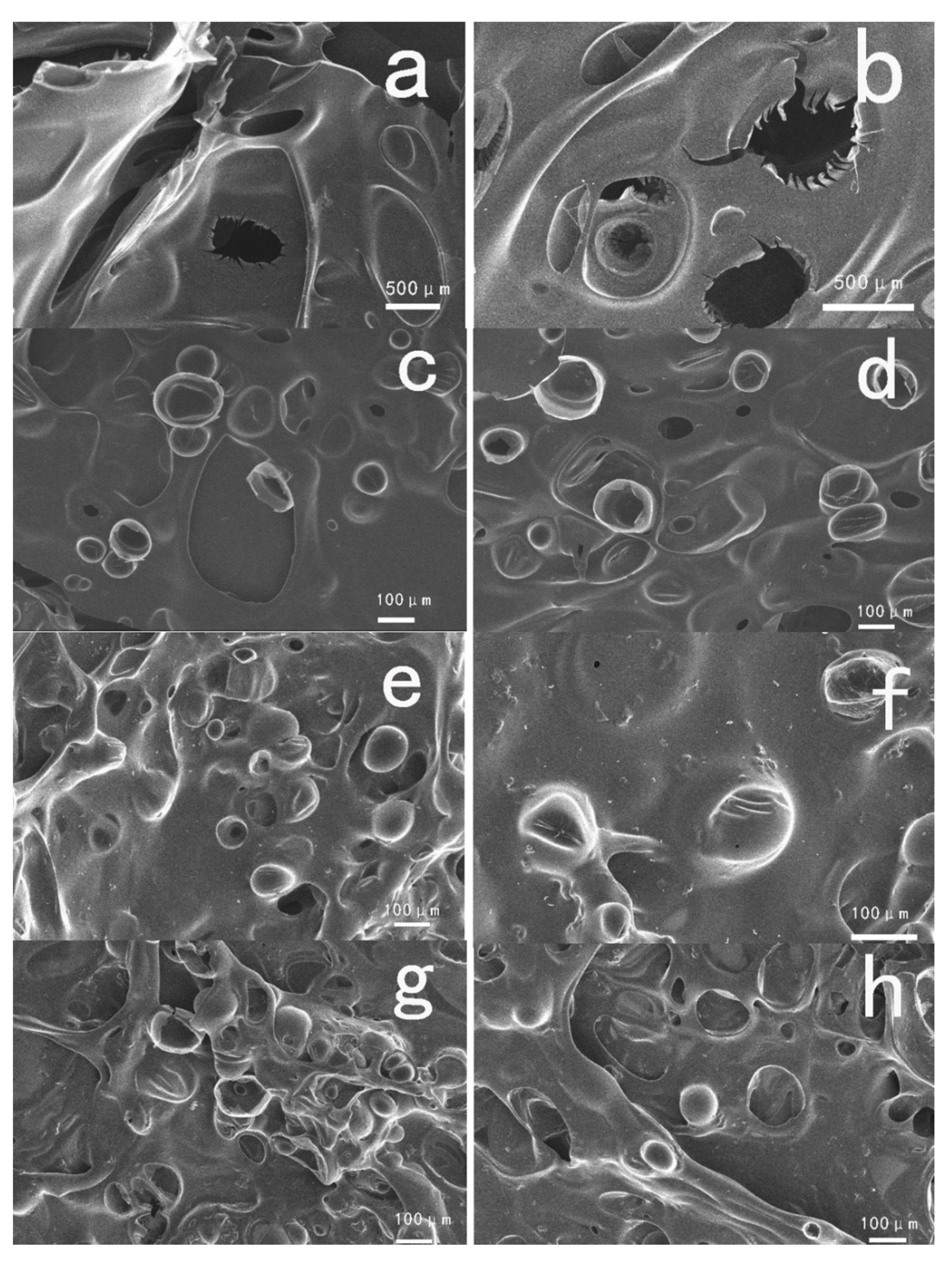Polymers 12 01689 g008 Polymers 12 01689 g008