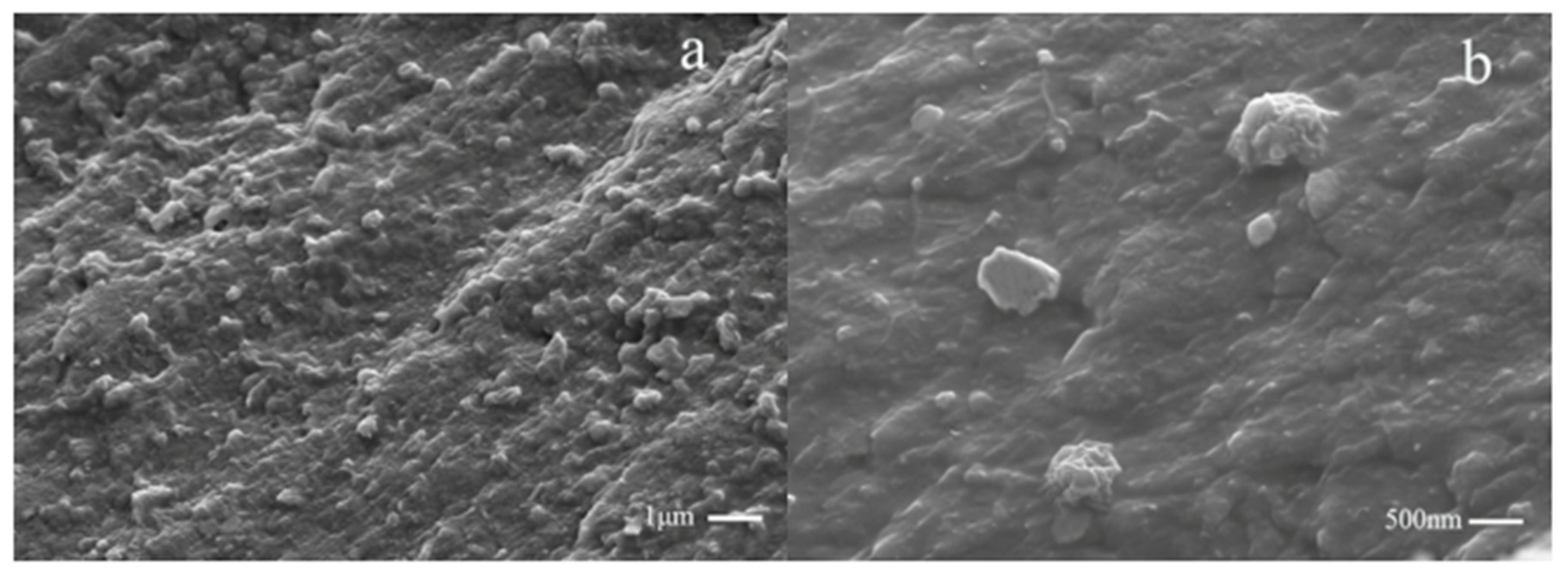 Polymers 12 01689 g013 Polymers 12 01689 g013
