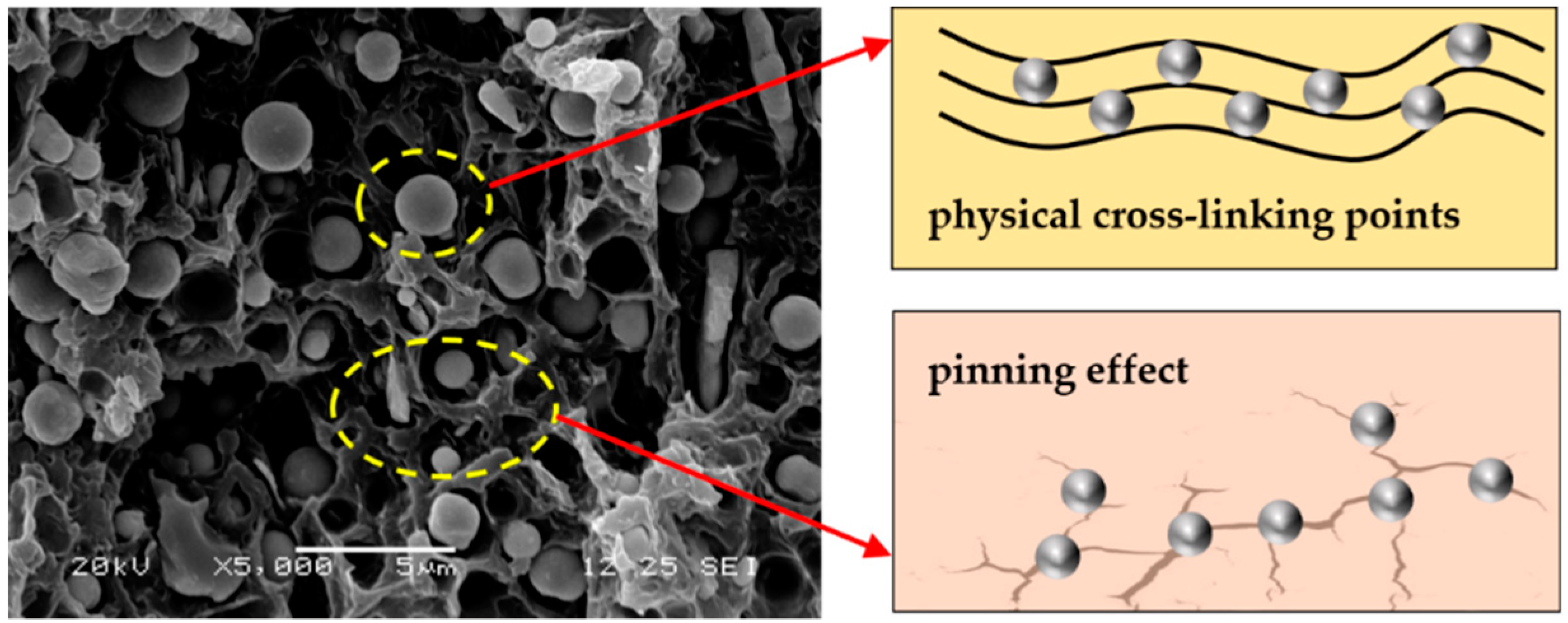 Polymers 12 01694 g006 Polymers 12 01694 g006