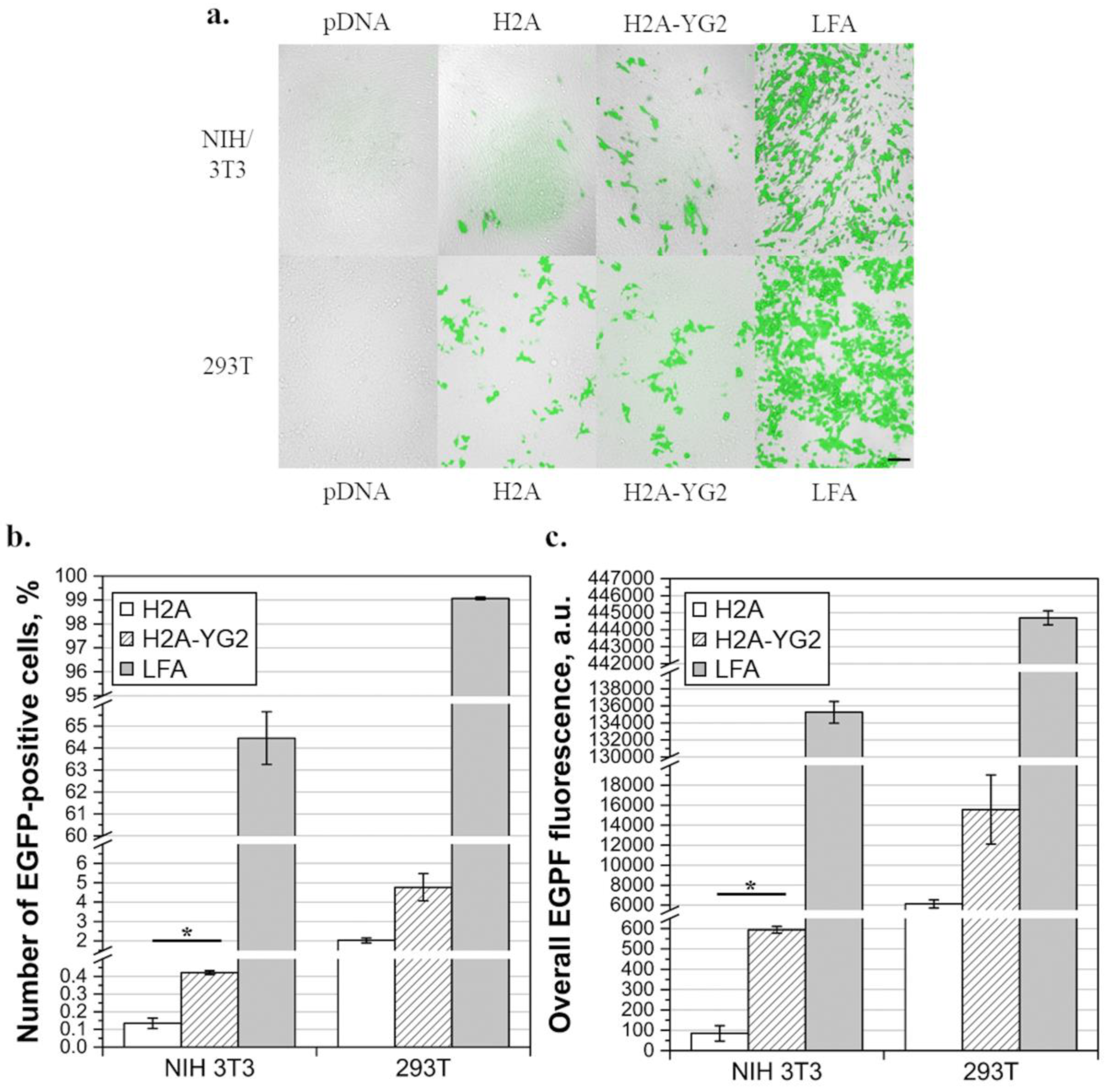 Polymers 12 01695 g005