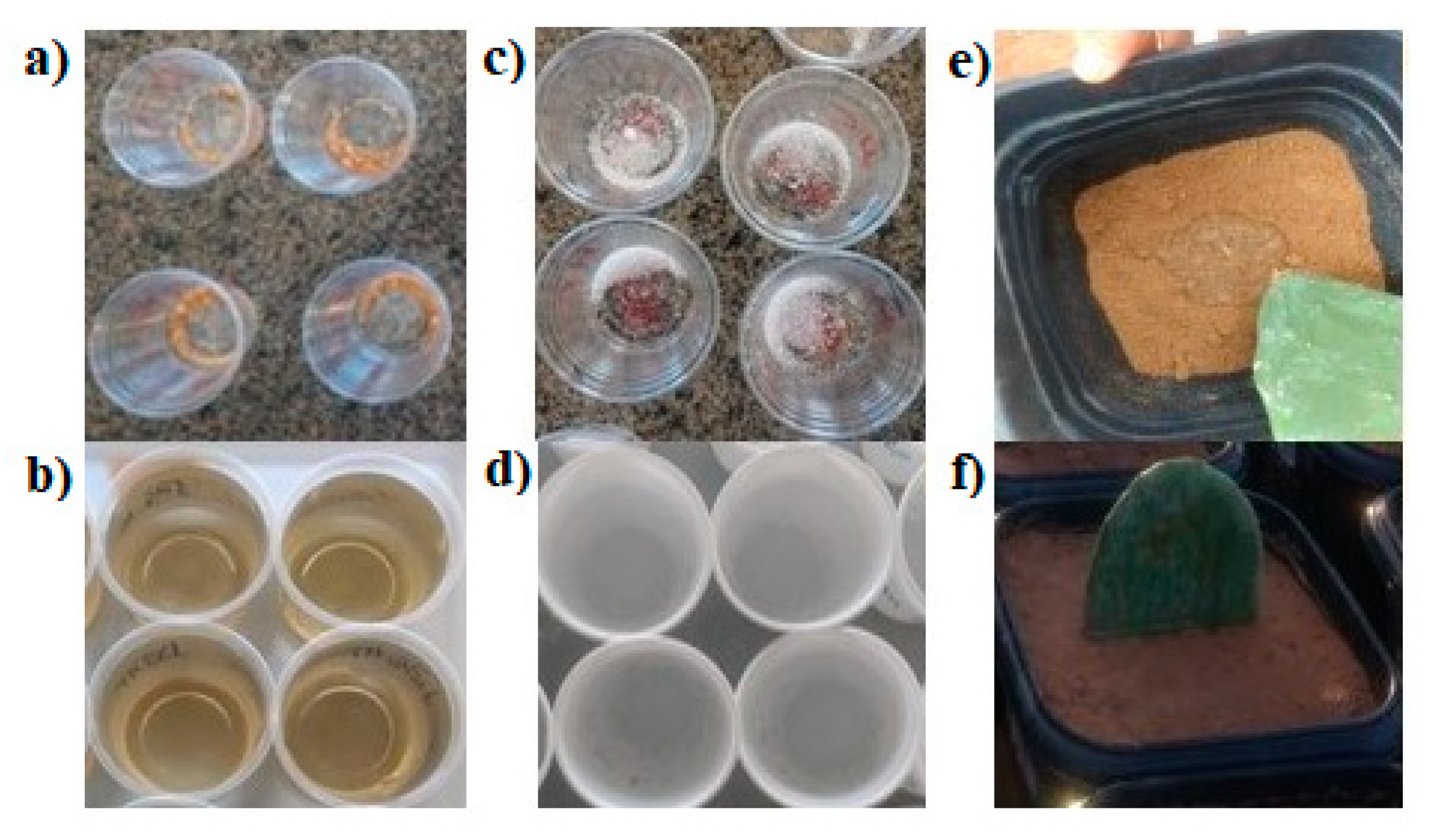 Polymers 12 01699 g001